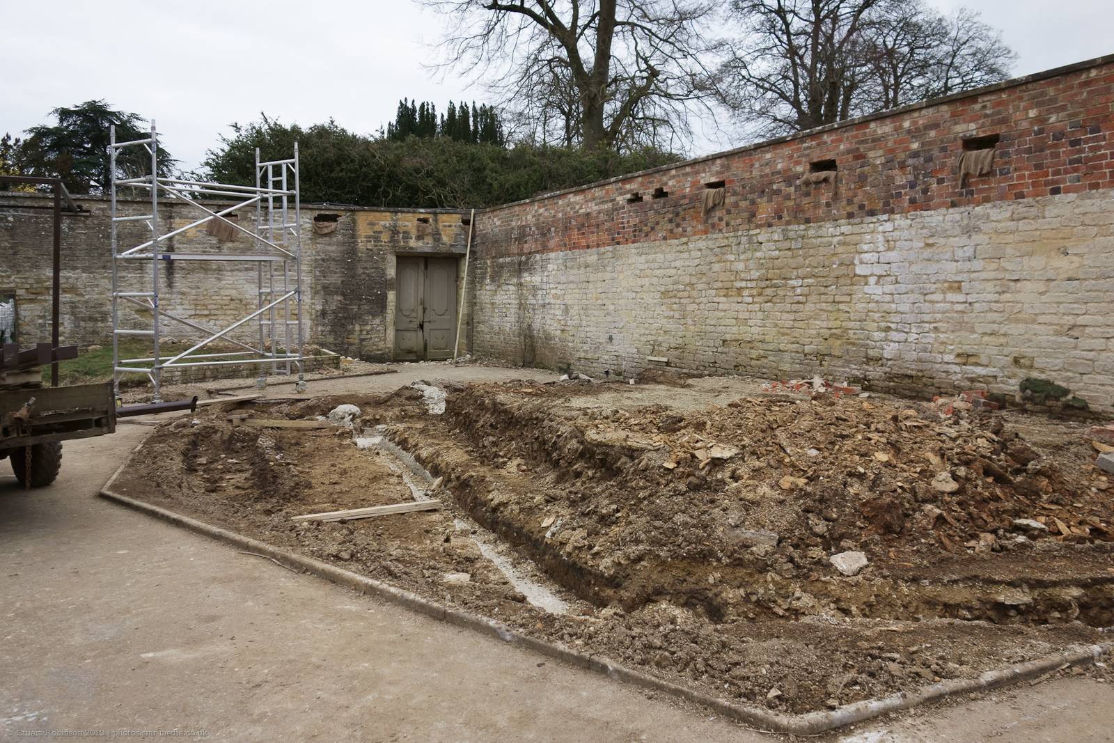 Clouded Leopard Development - 24/02/2013