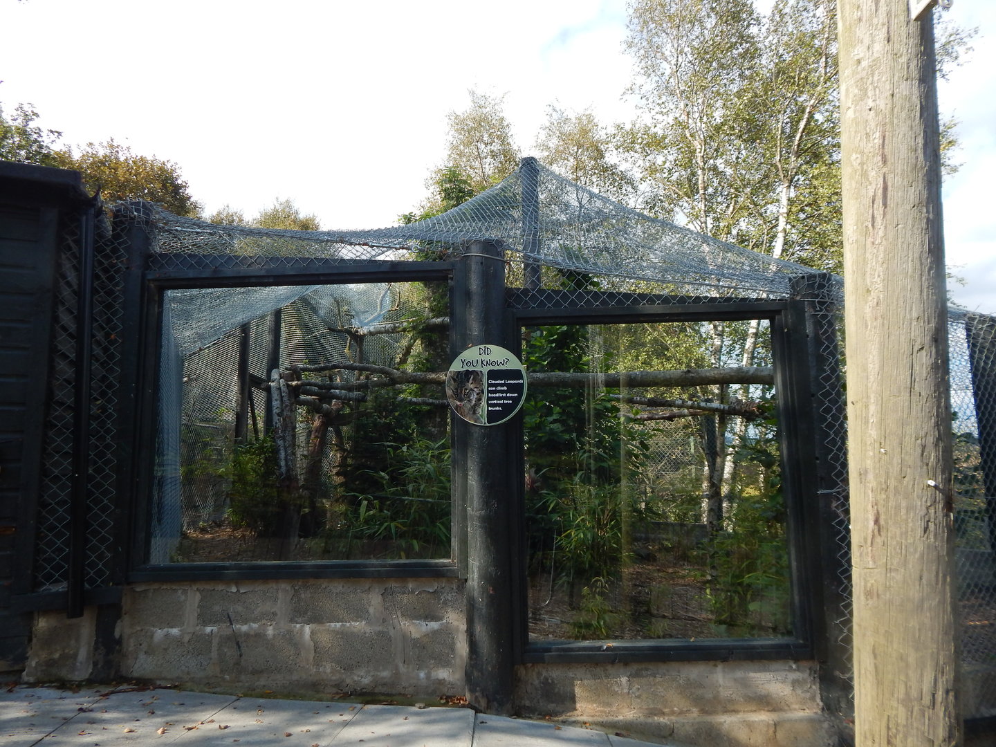 Clouded leopard enclosure 200922