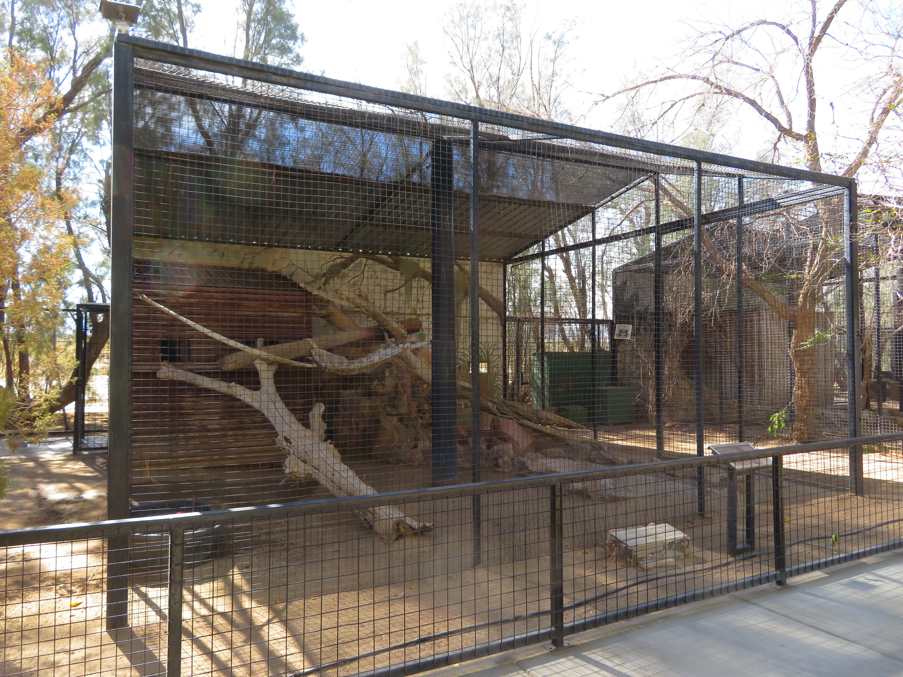 Clouded Leopard Enclosure (2022)