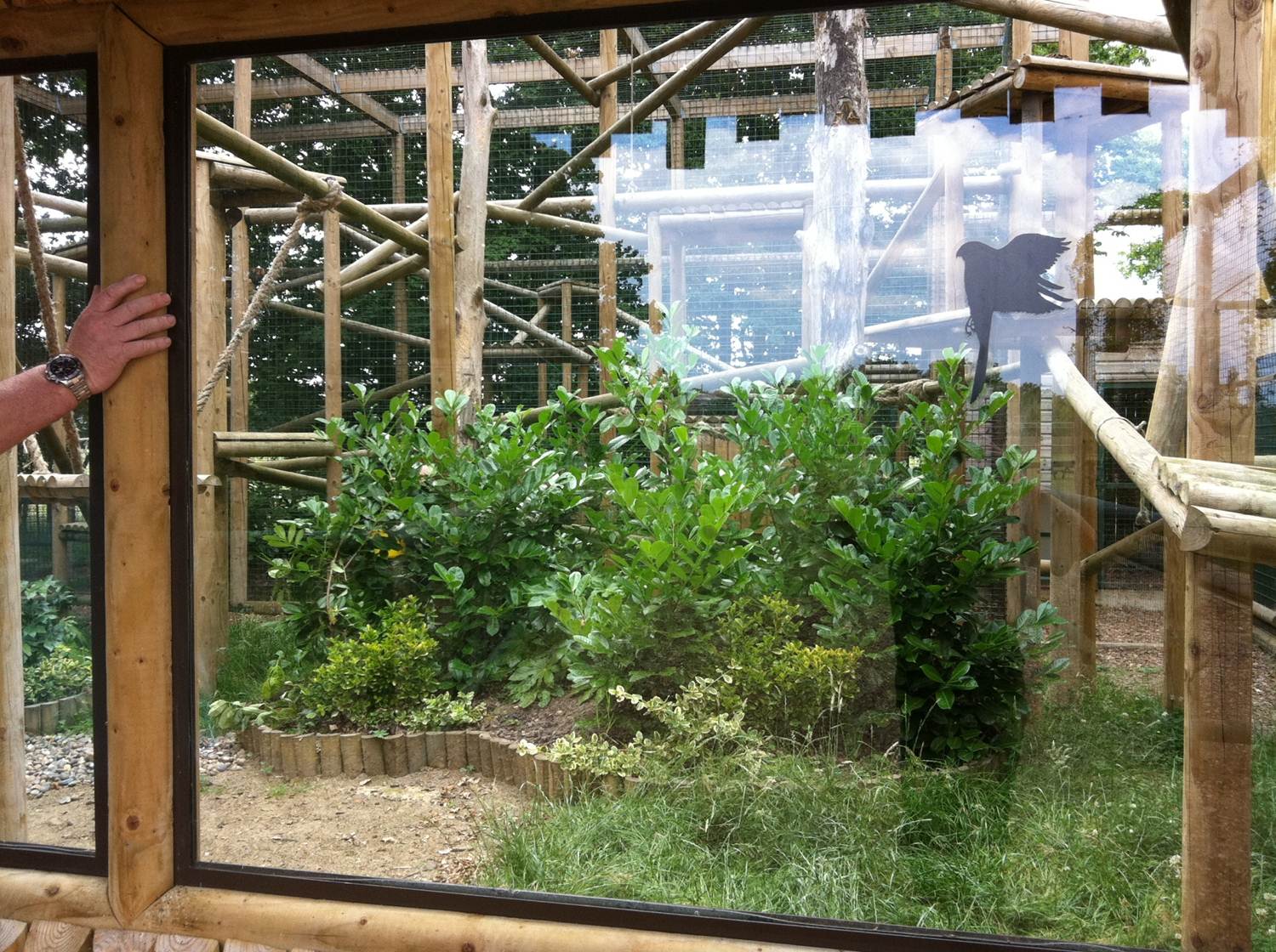 Clouded Leopard Enclosure ( 3rd July 2011)
