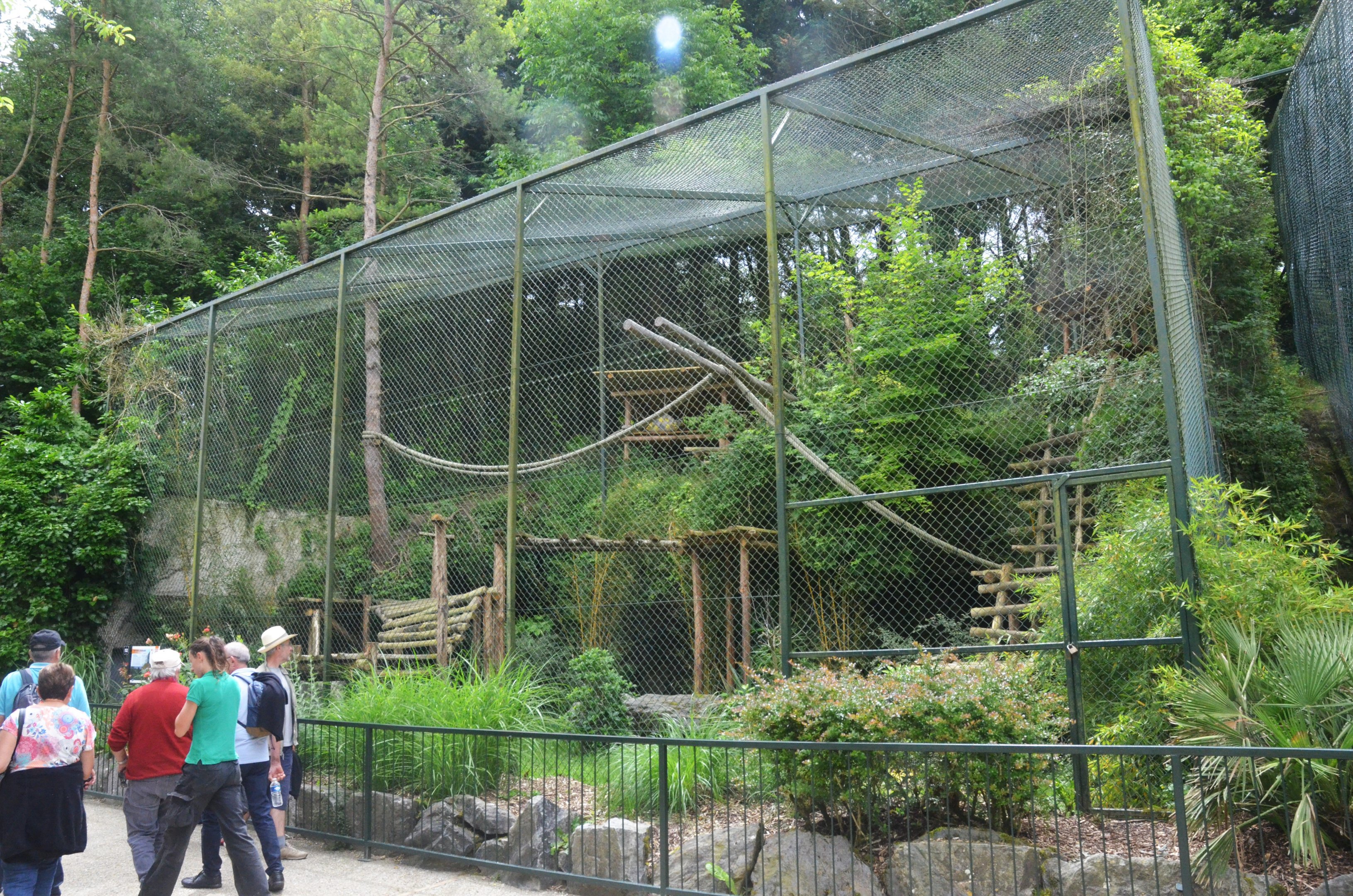 Clouded Leopard Enclosure at Beauval, 12/06/18