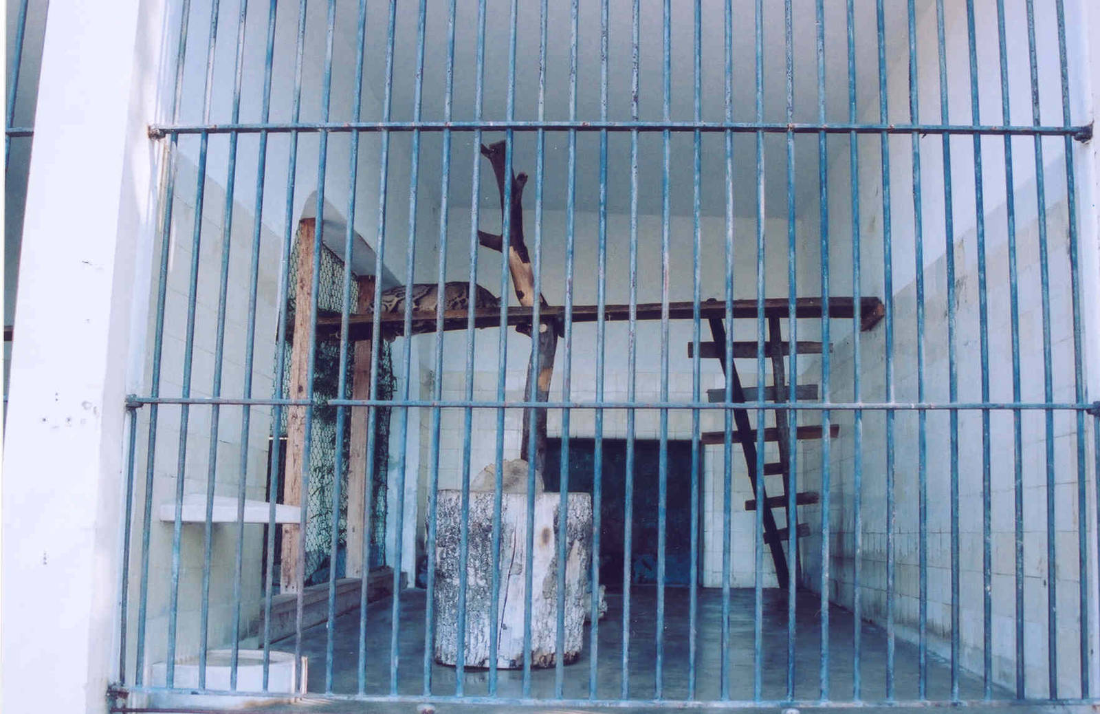 Clouded Leopard Enclosure - Lisbon Zoo 2005