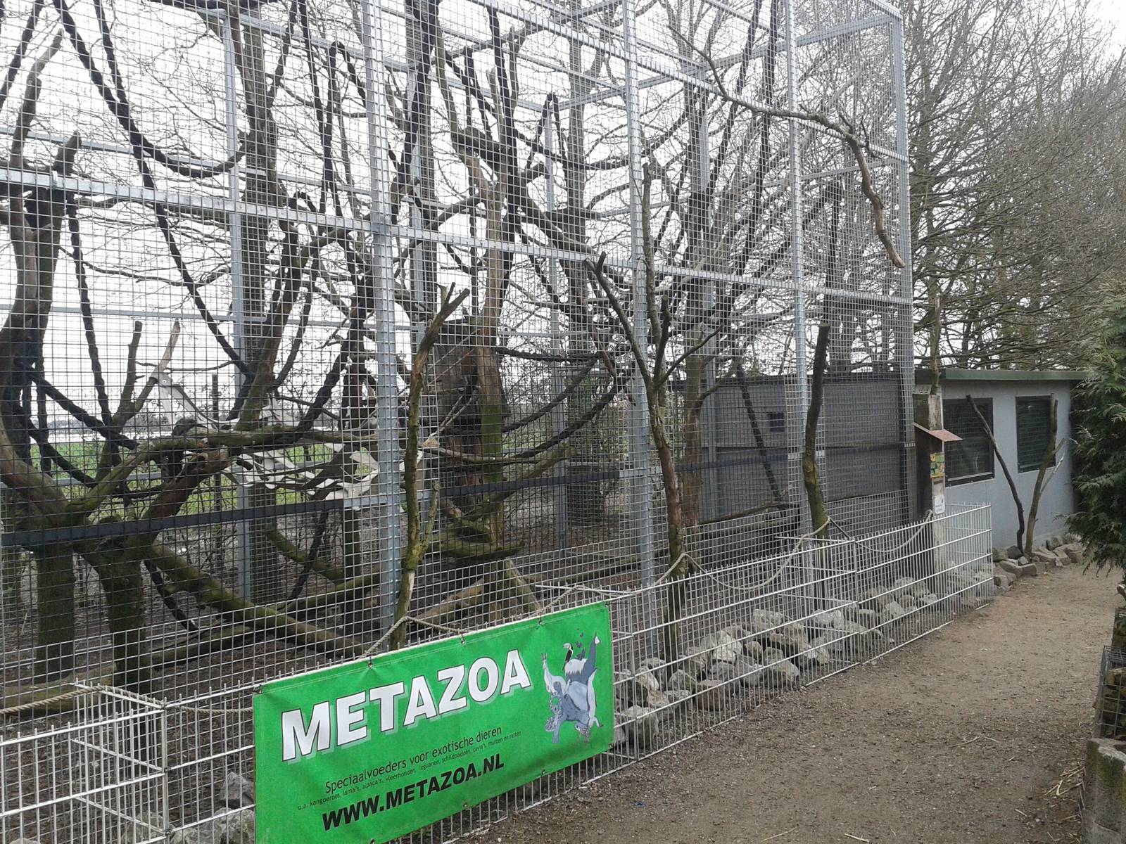 Clouded leopard enclosure - outside