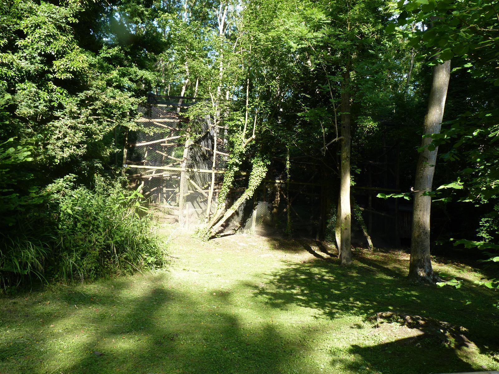 Clouded Leopard Enclosure