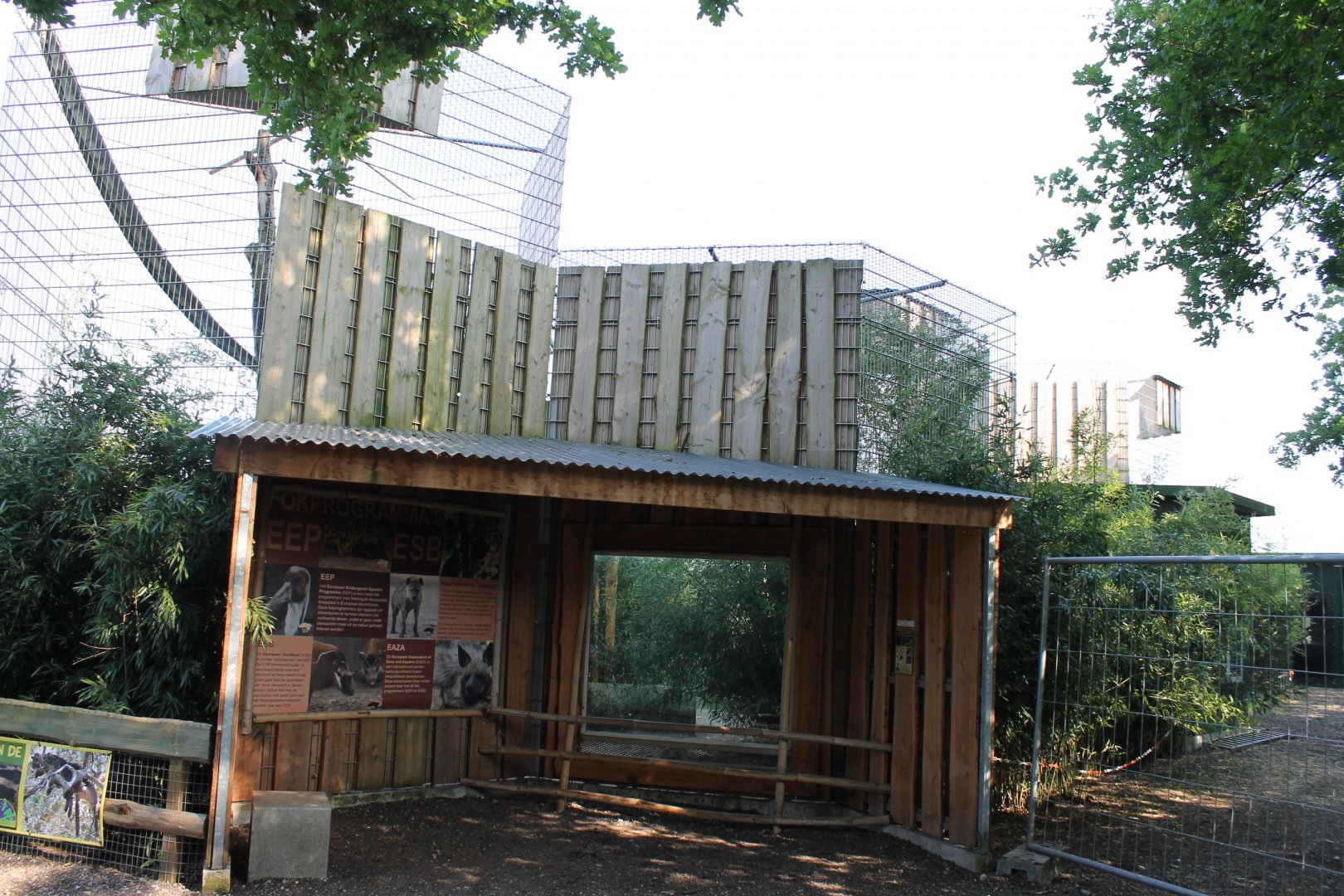 Clouded leopard enclosure