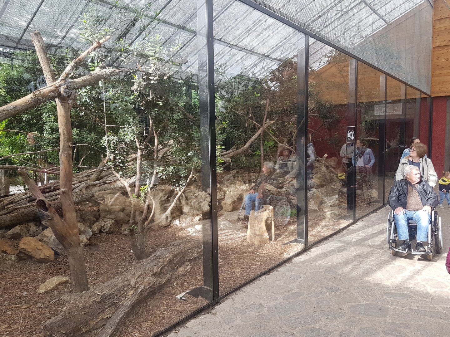 Clouded leopard enclosure