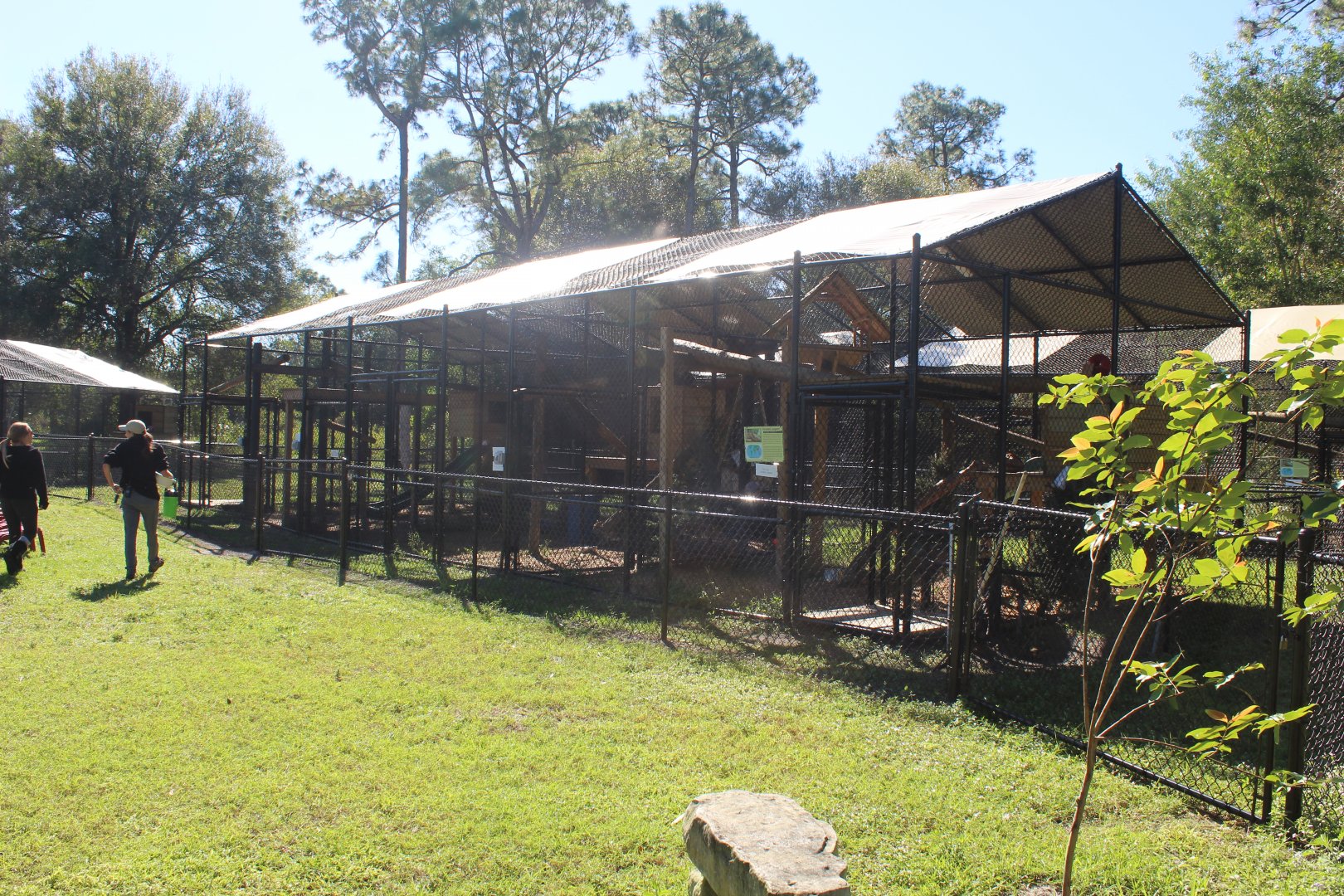 Clouded Leopard Enclosure