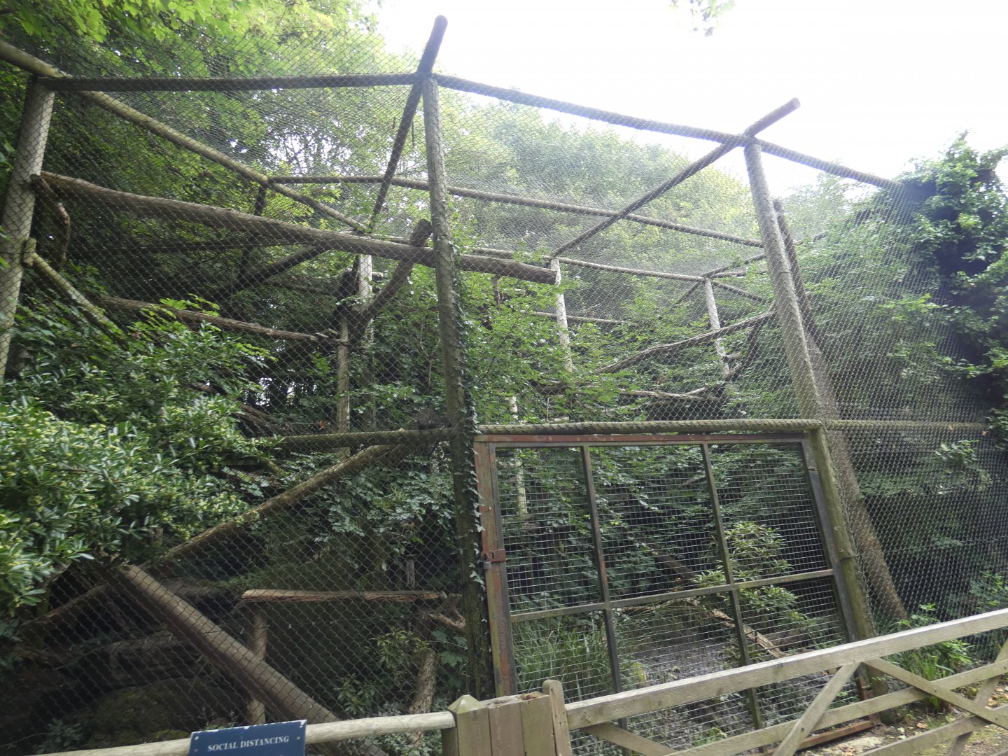 Clouded Leopard enclosure