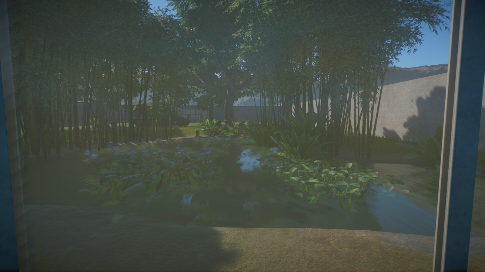 Clouded Leopard Enclosure