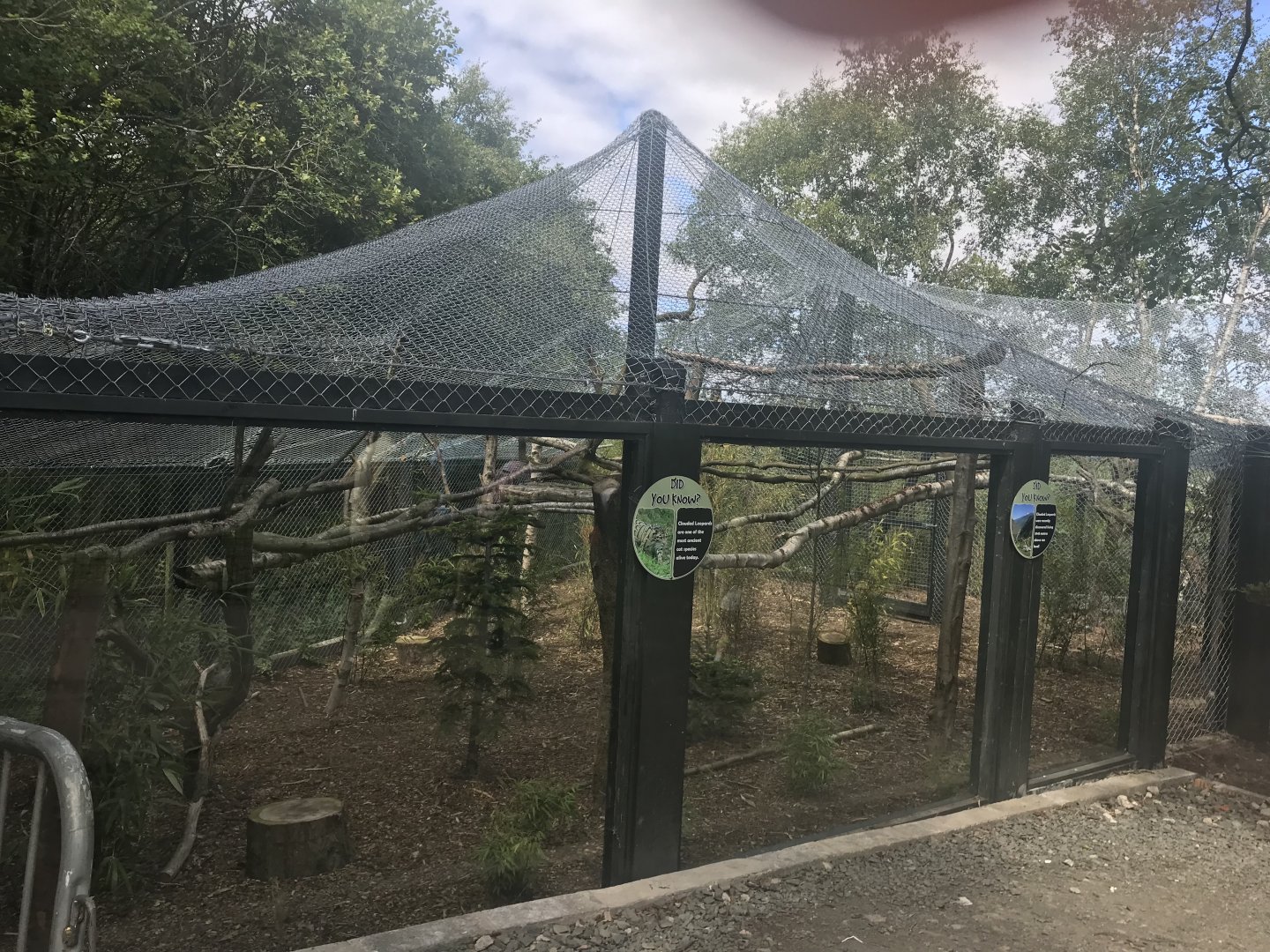 Clouded leopard enclosure