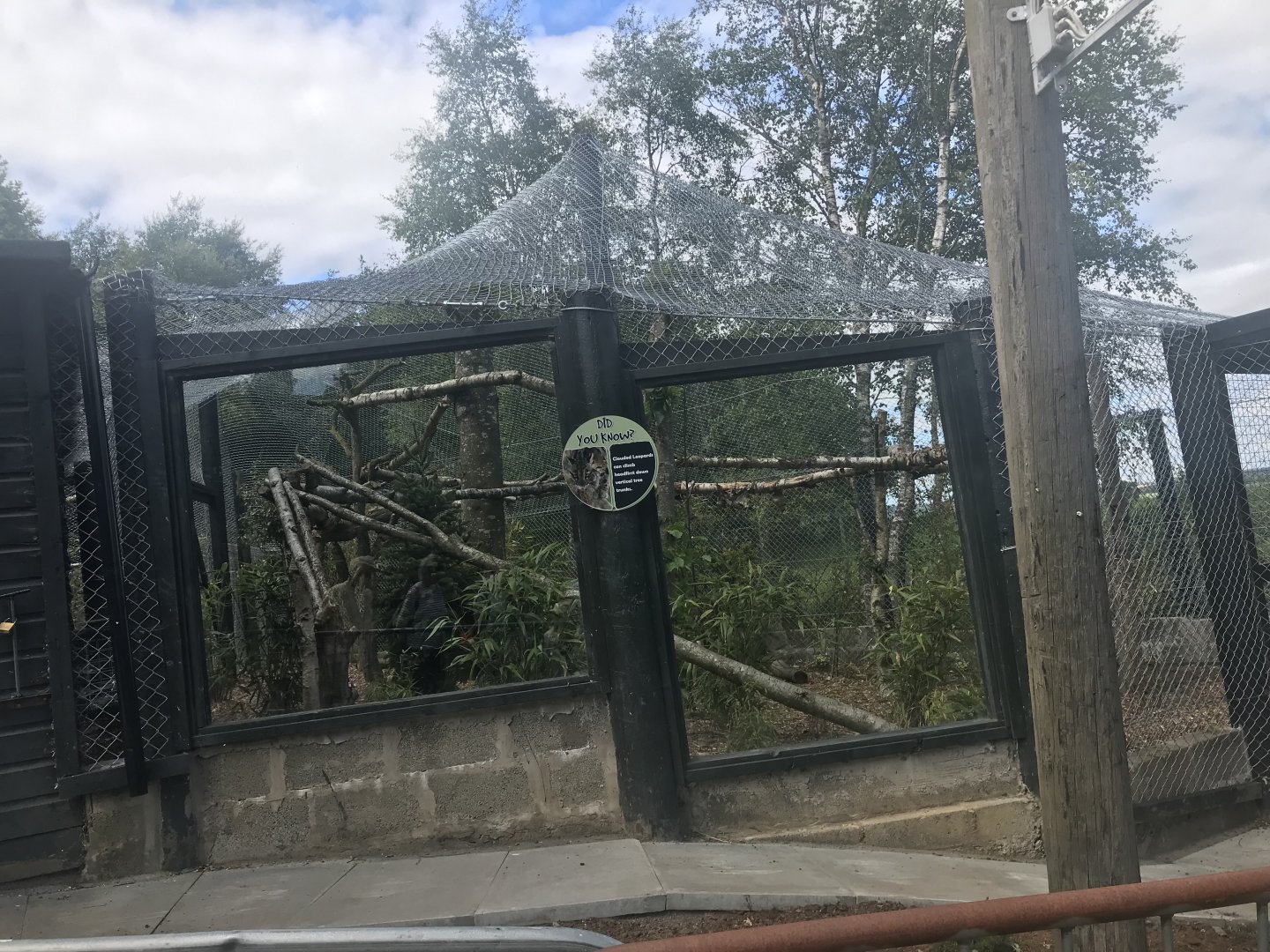 Clouded leopard enclosure