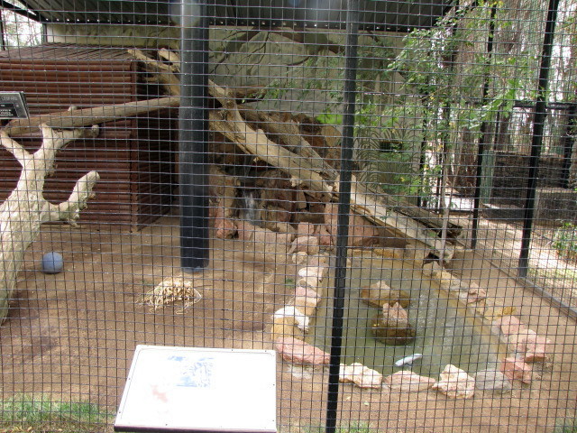 Clouded Leopard Enclosure