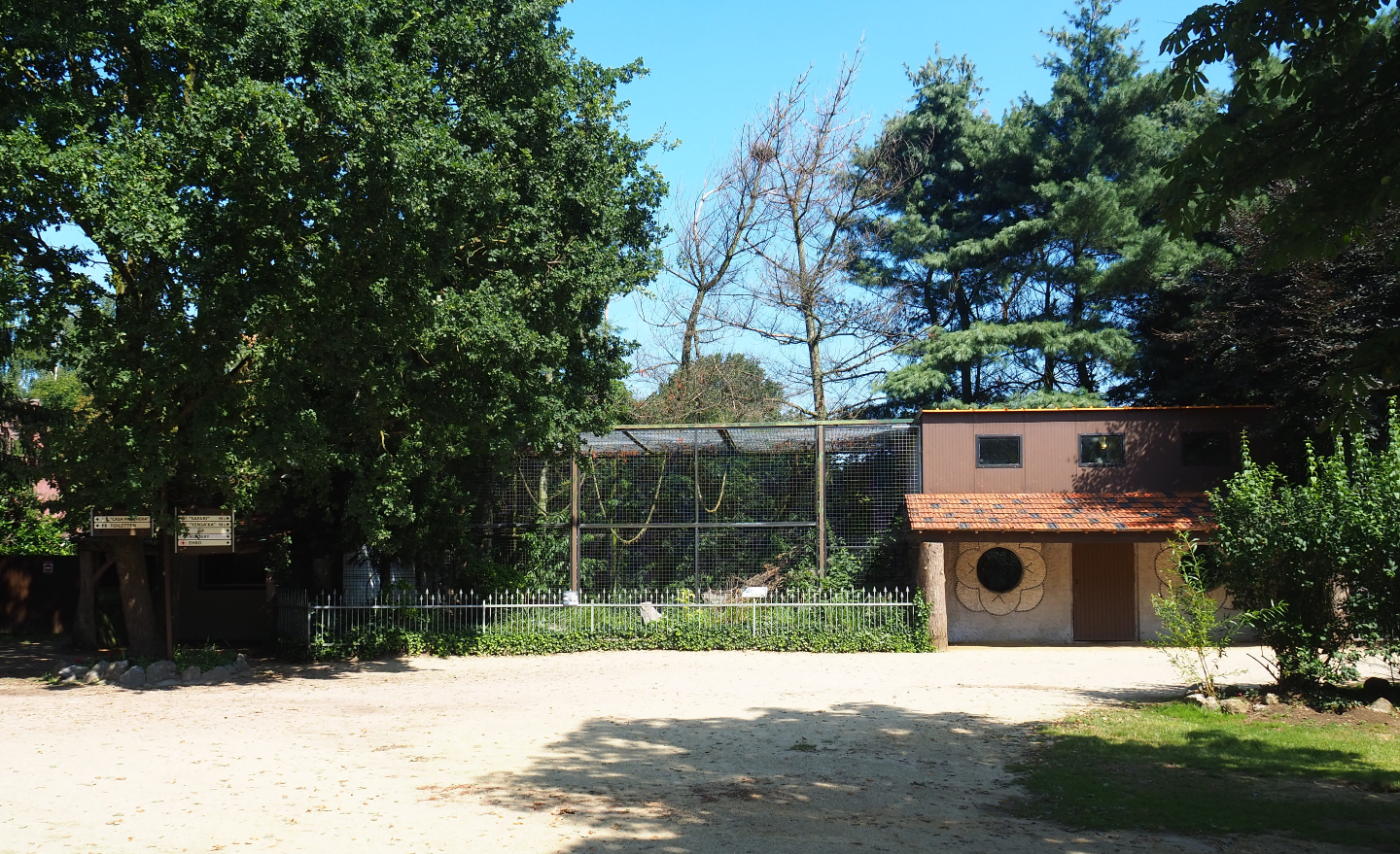 Clouded leopard exhibit and Mantled colobus house, 2019-08-04