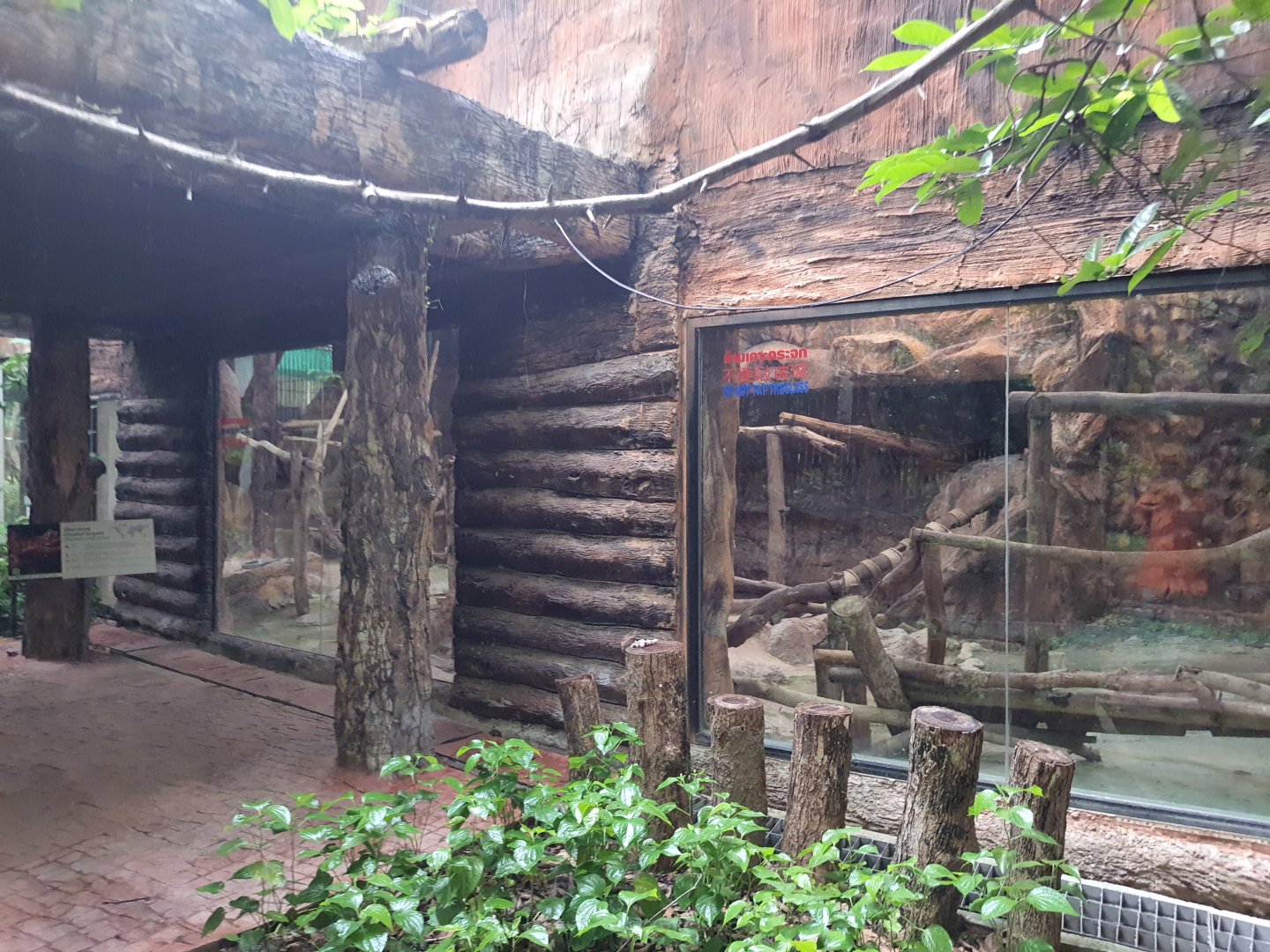 Clouded Leopard Exhibit area