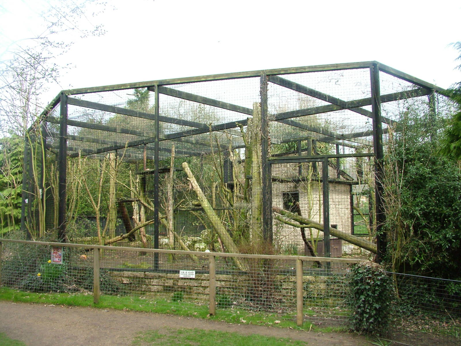 Clouded Leopard exhibit at Linton 05/04/10