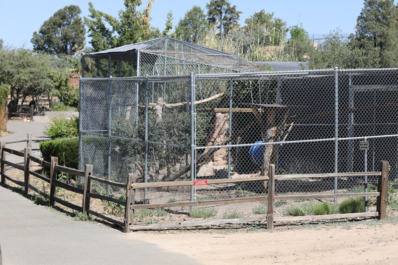 clouded leopard exhibit (expanded)