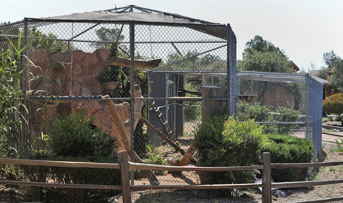 clouded leopard exhibit (expanded)