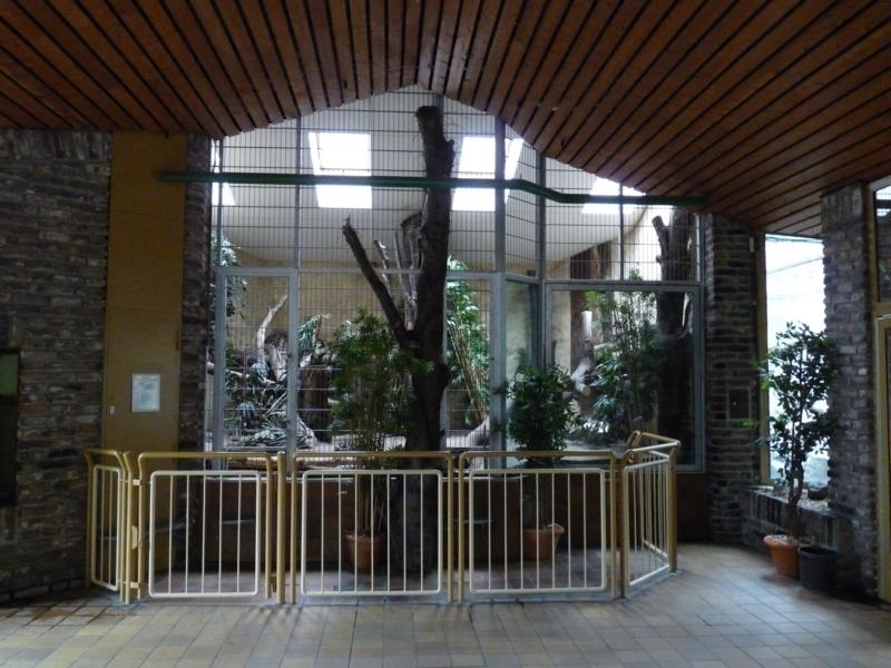 Clouded Leopard Exhibit in the Lion House