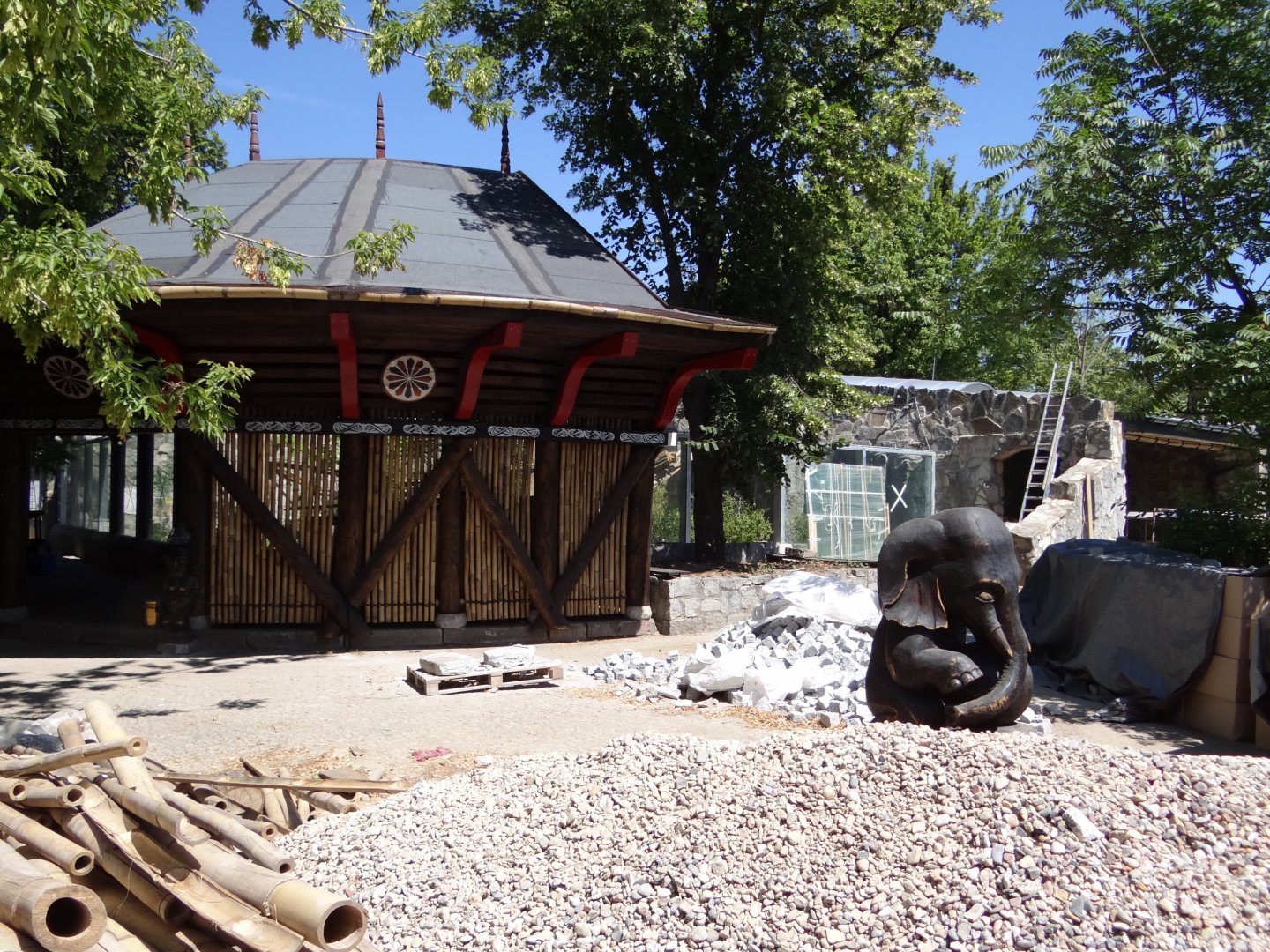 Clouded Leopard exhibit under construction