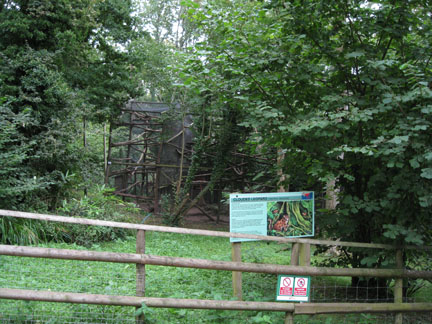 clouded leopard exhibit