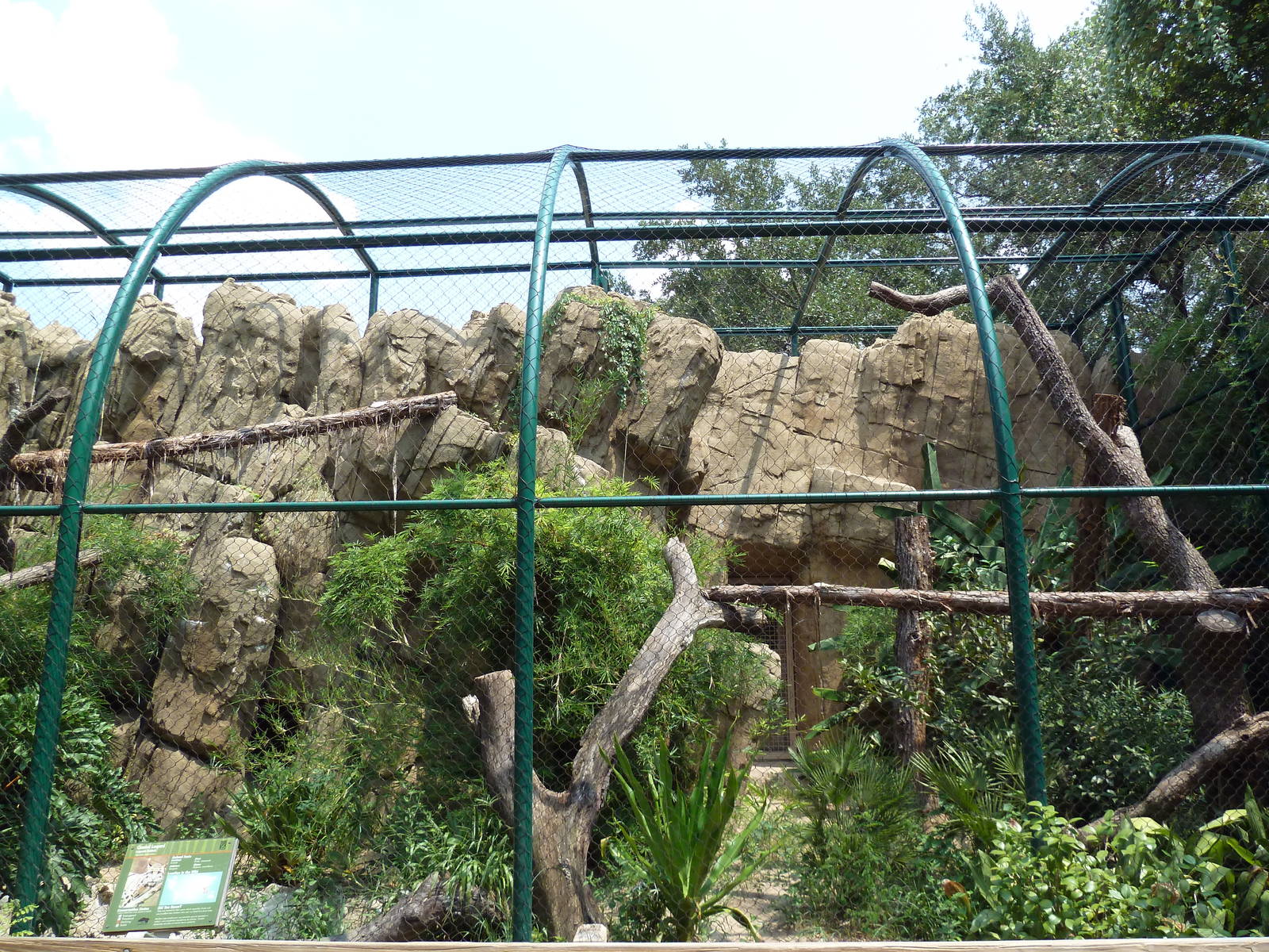 Clouded Leopard Exhibit