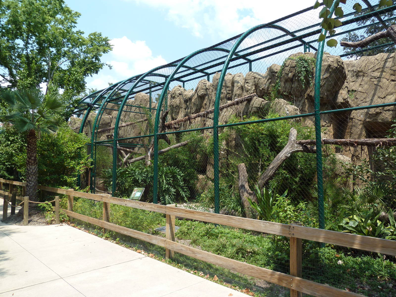 Clouded Leopard Exhibit