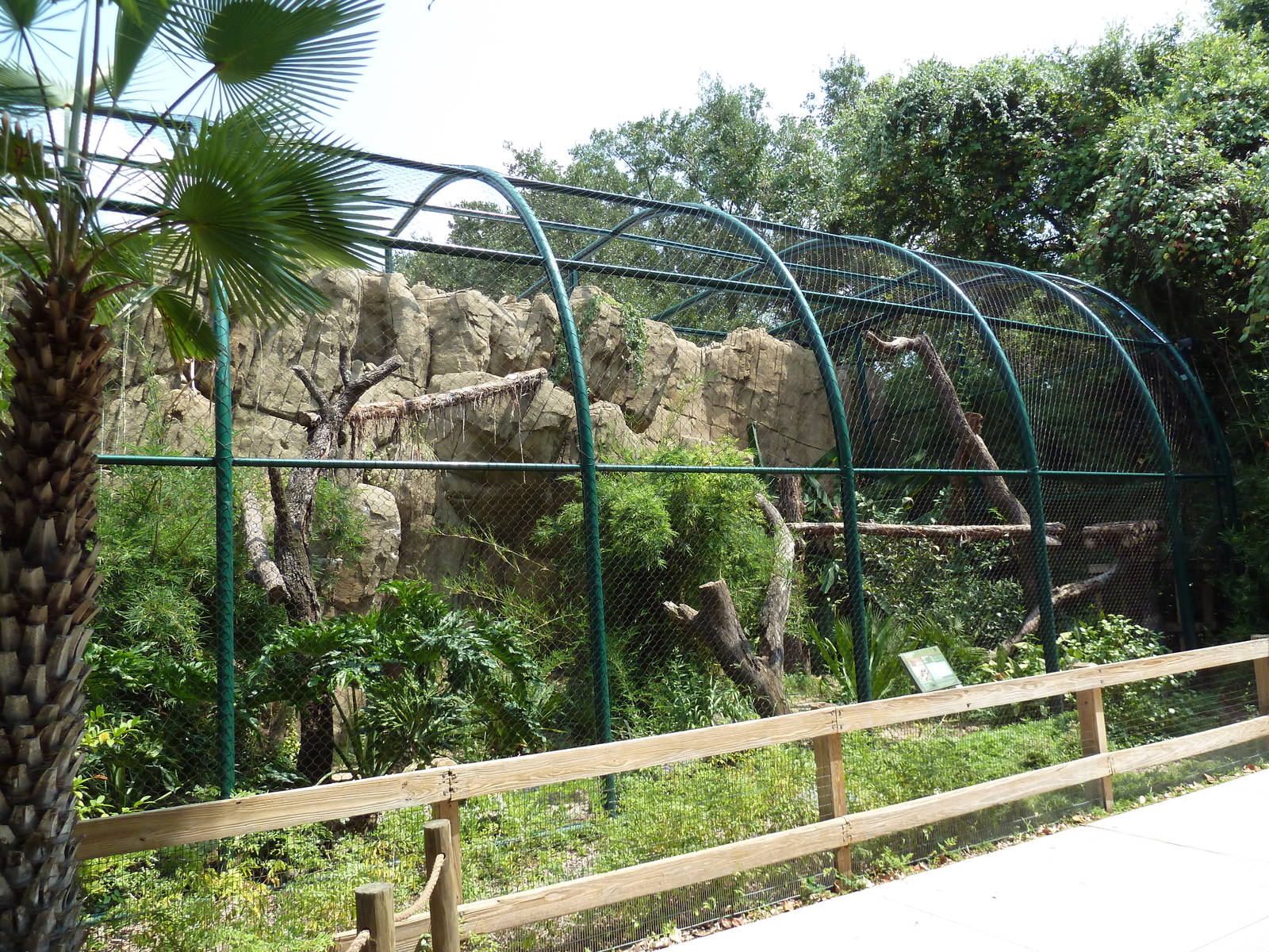 Clouded Leopard Exhibit