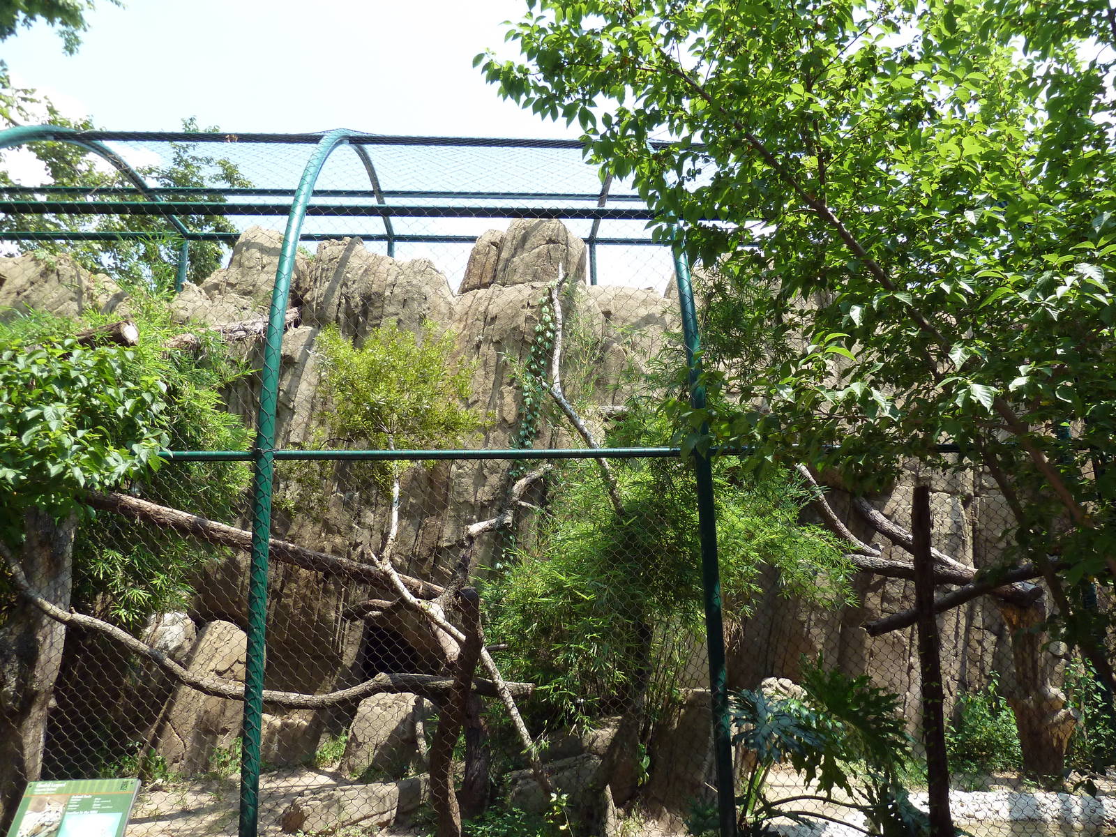 Clouded Leopard Exhibit