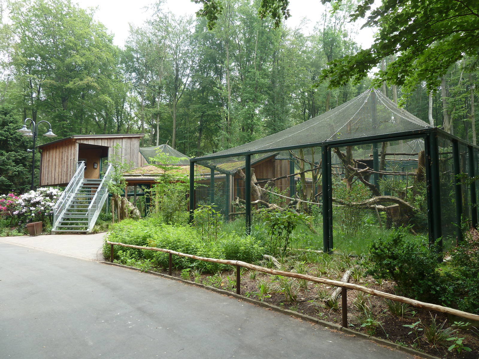 Clouded Leopard exhibit