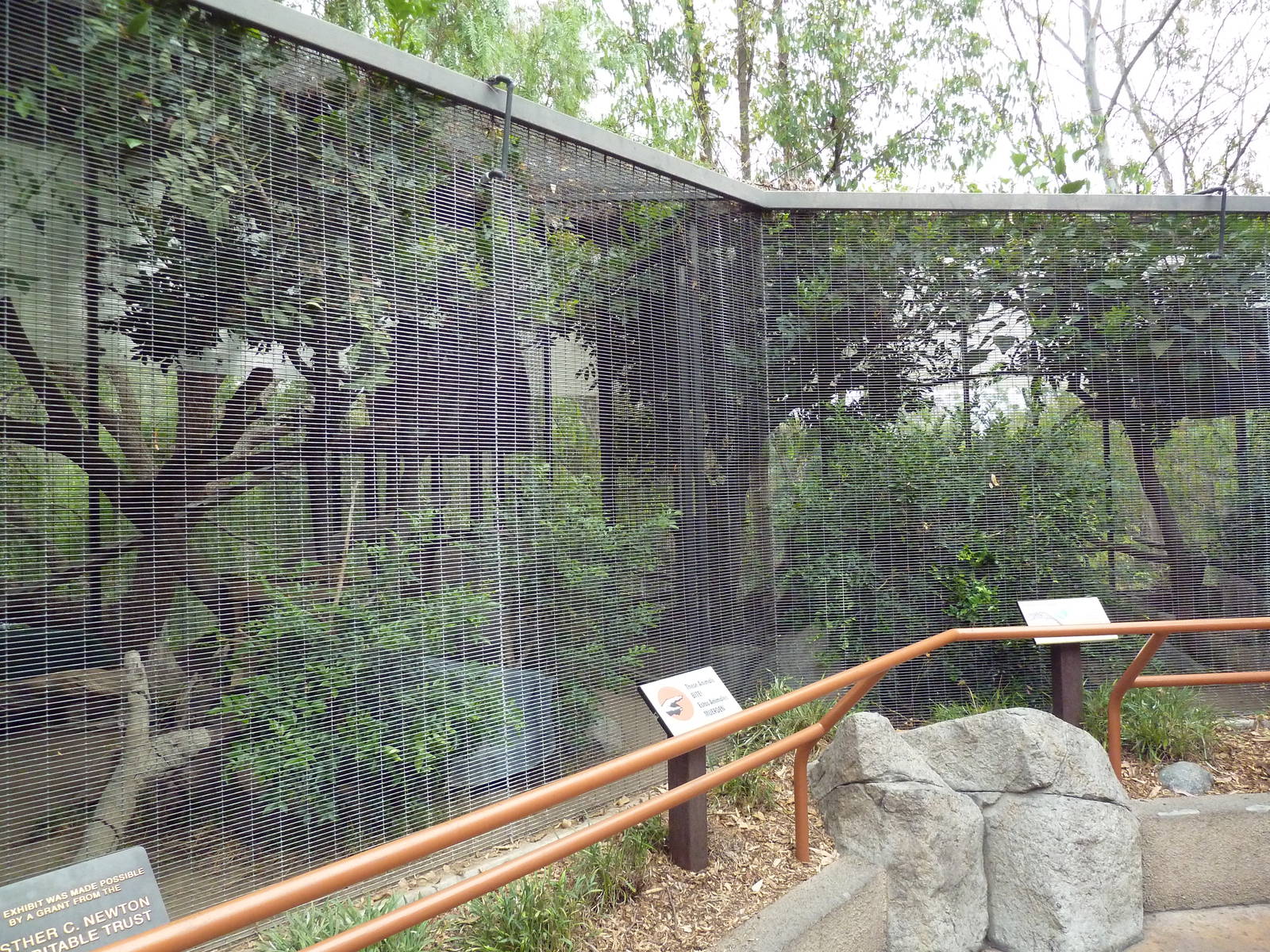 Clouded Leopard Exhibit