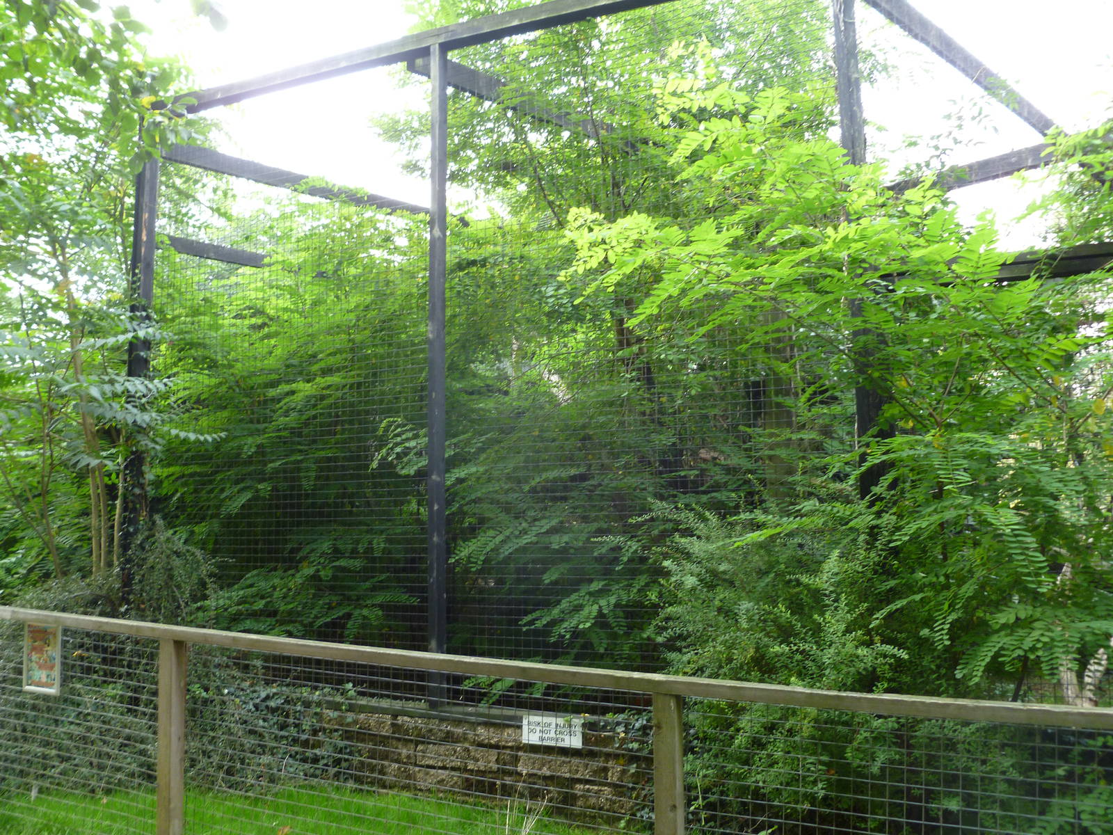 Clouded Leopard exhibit