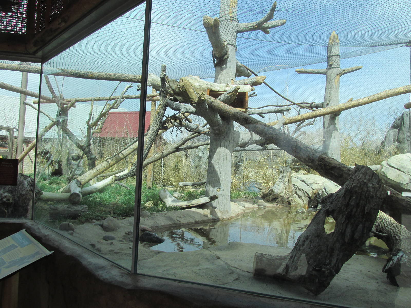 Clouded Leopard Exhibit