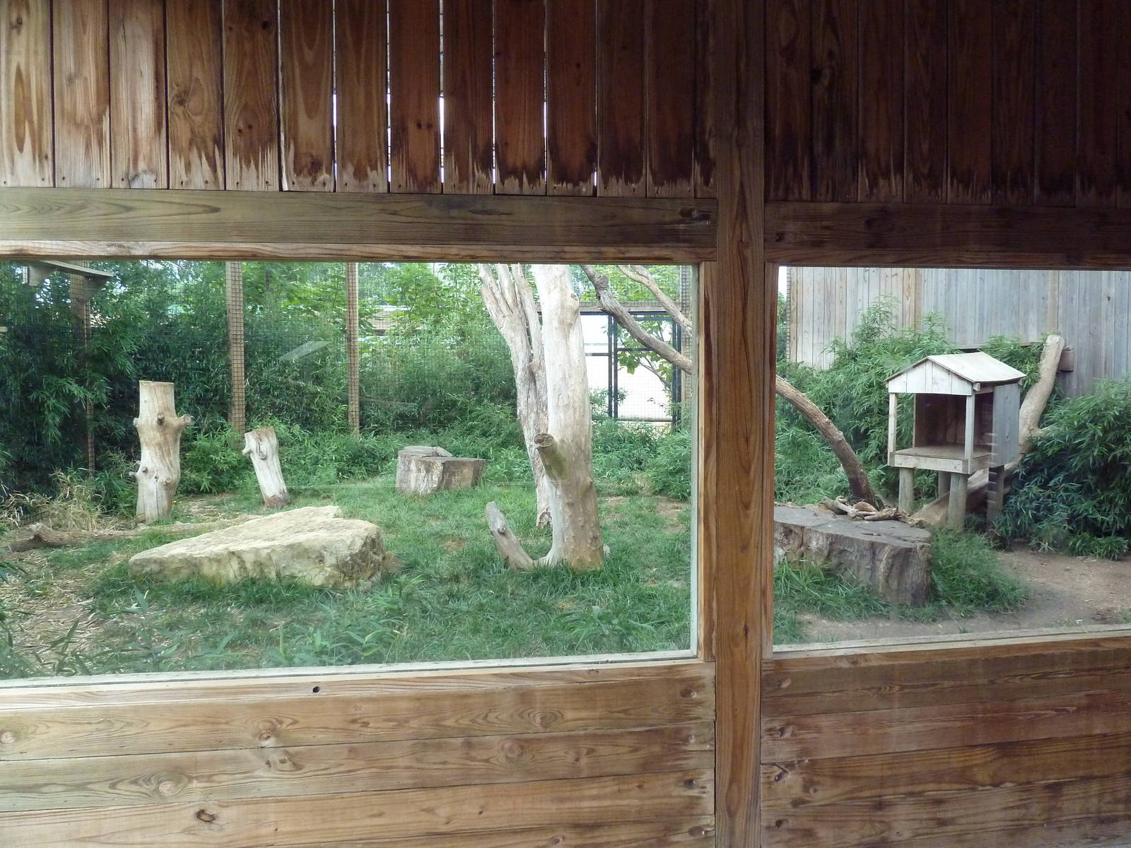 Clouded Leopard Exhibit