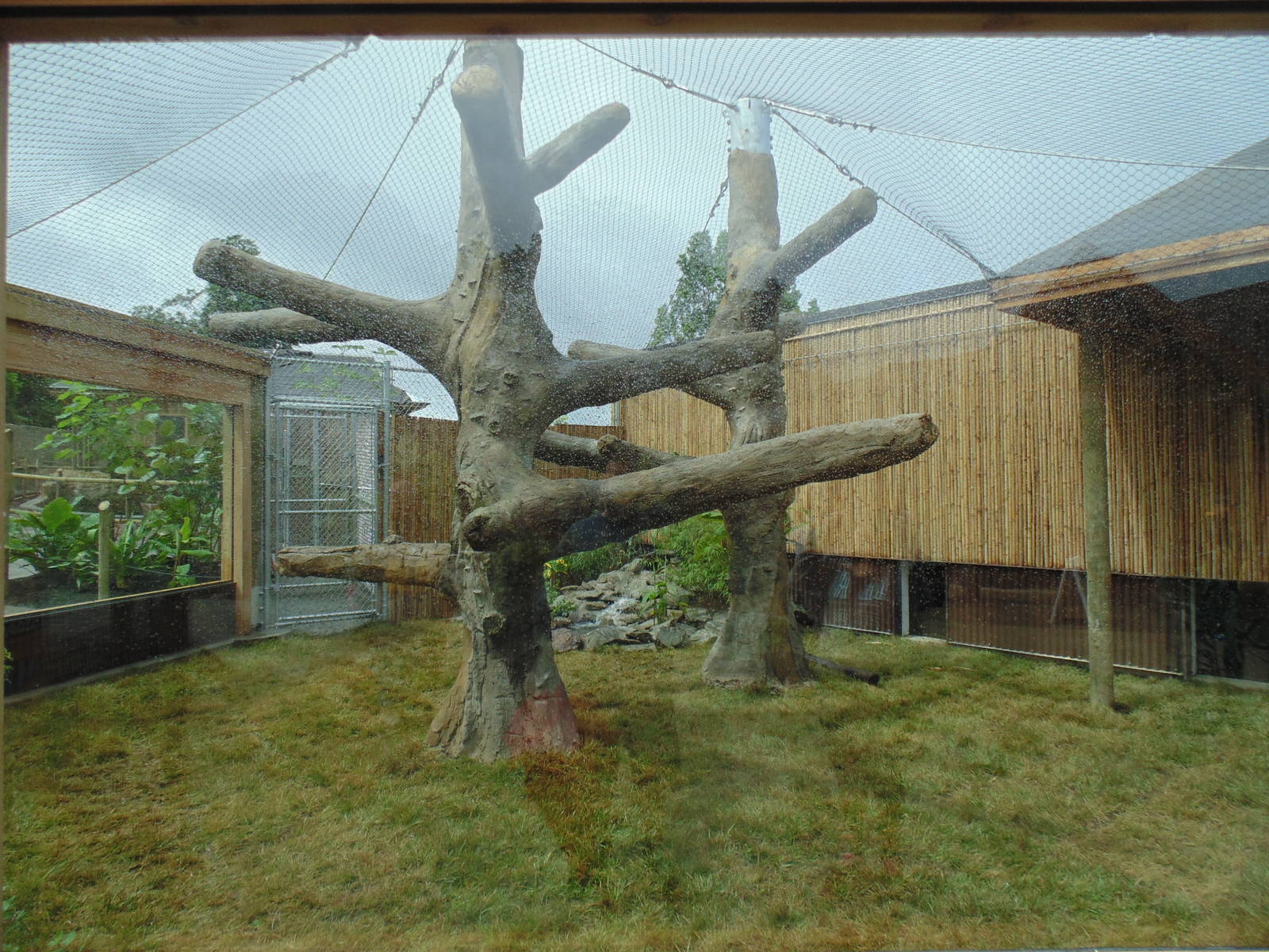 Clouded Leopard Exhibit