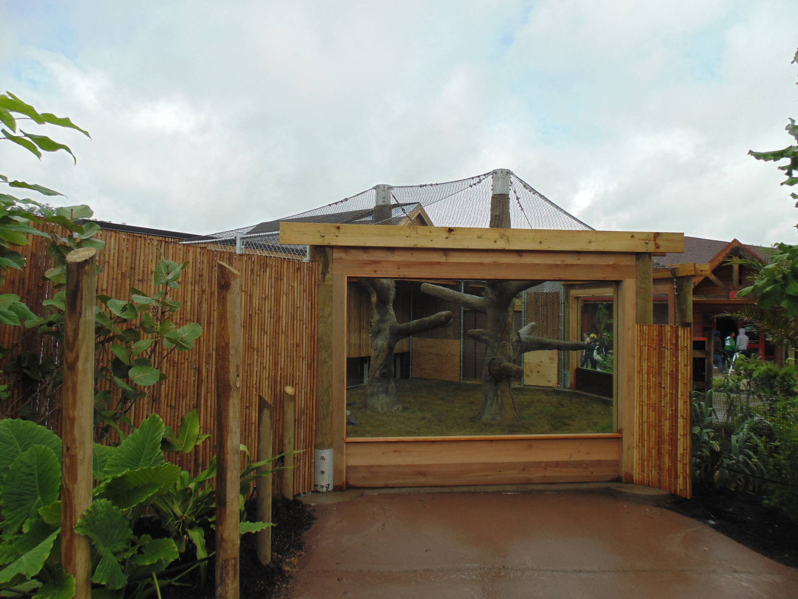 Clouded Leopard Exhibit
