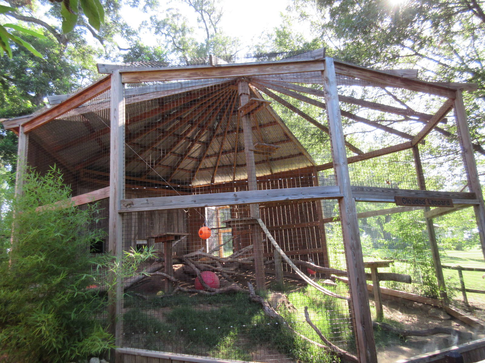 Clouded Leopard Exhibit