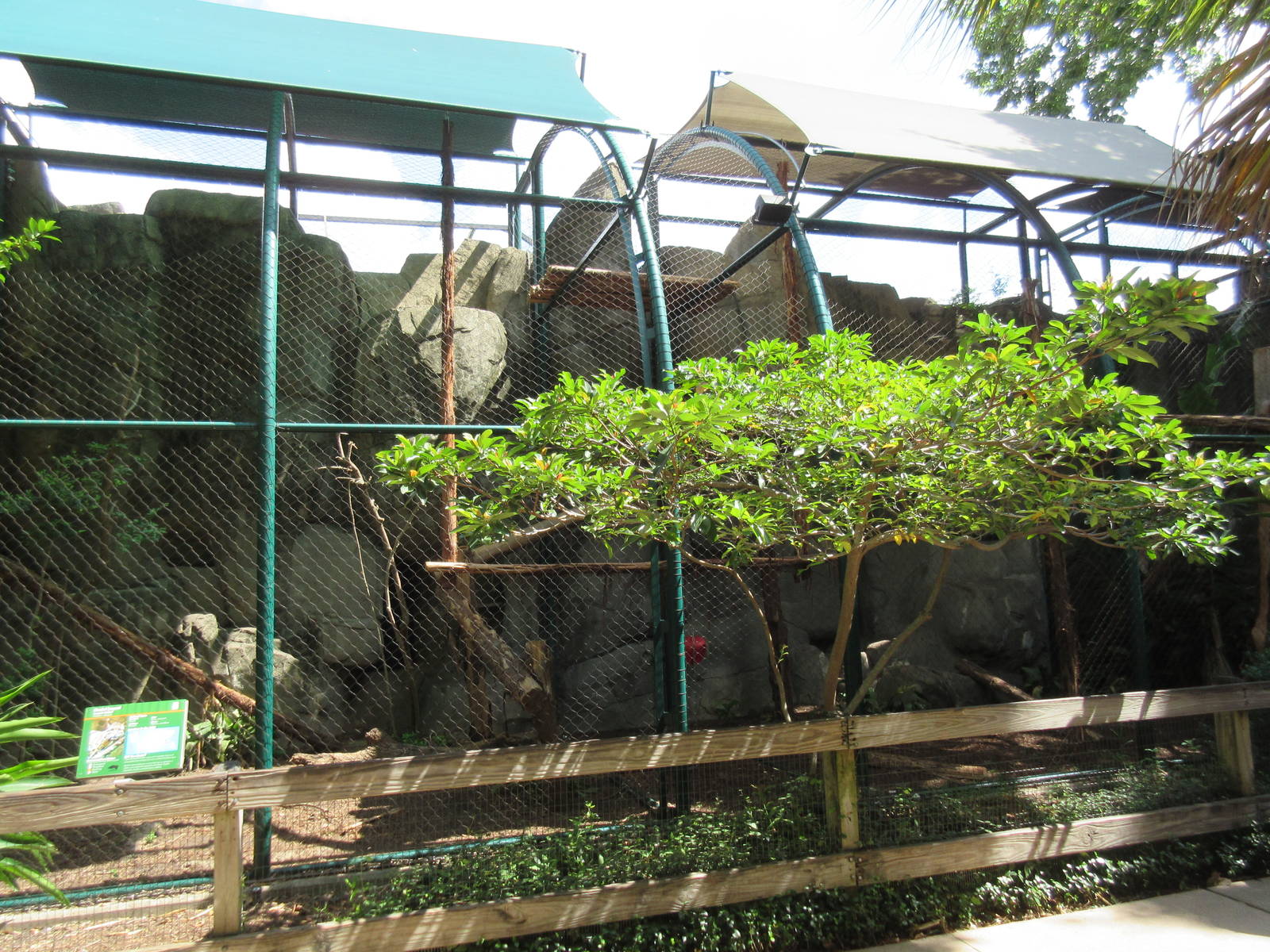 Clouded Leopard Exhibit