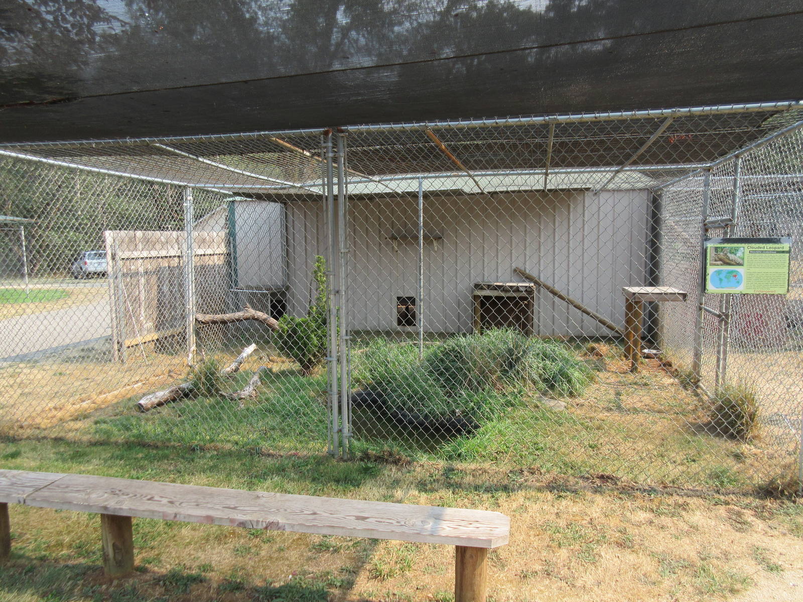 Clouded Leopard Exhibit