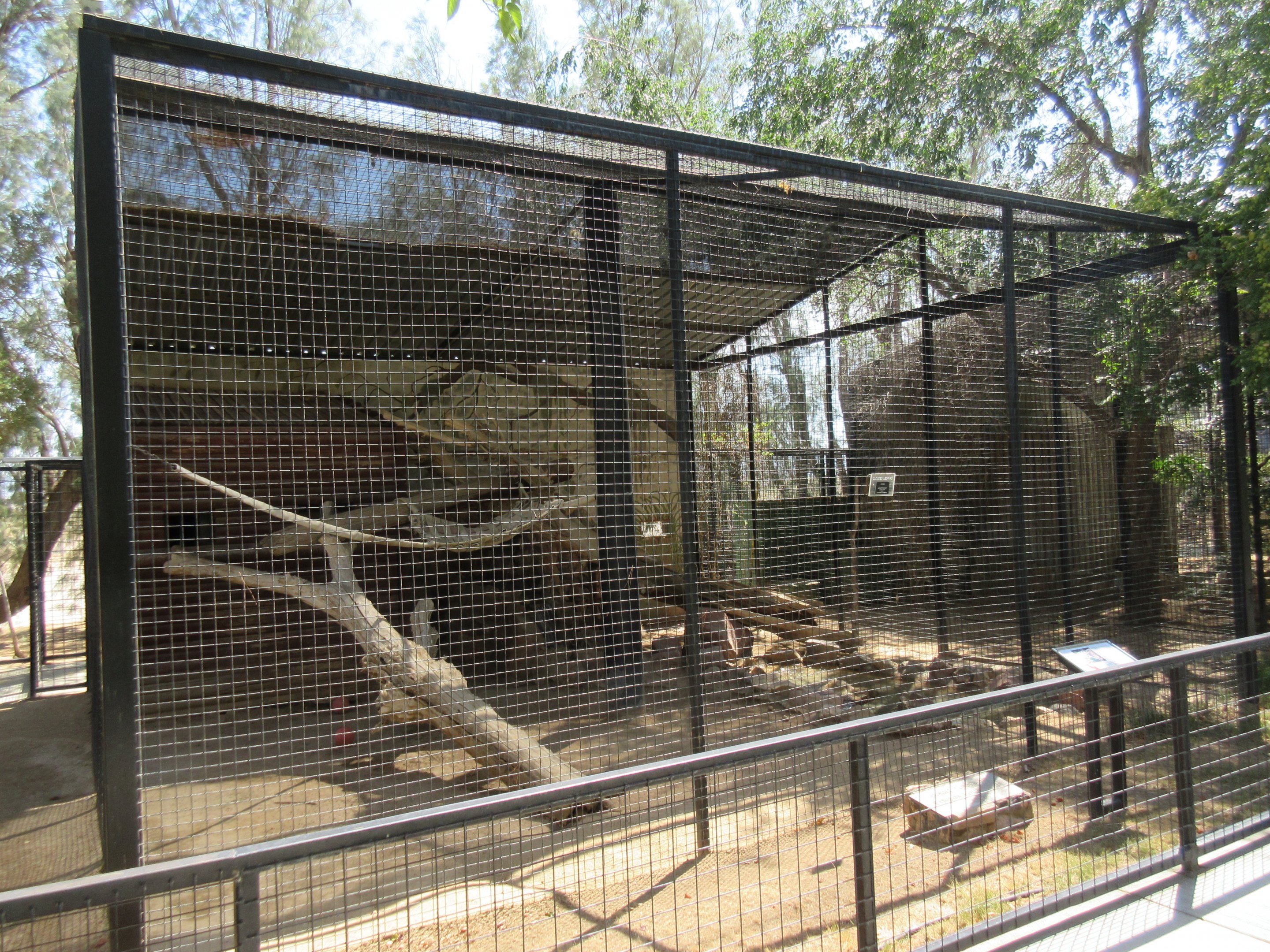 Clouded Leopard Exhibit