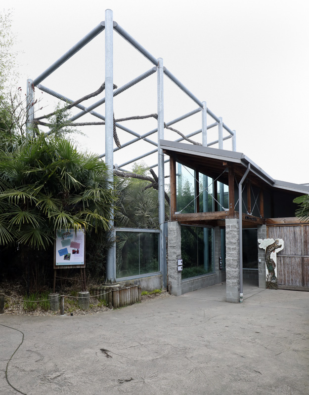 clouded leopard exhibit