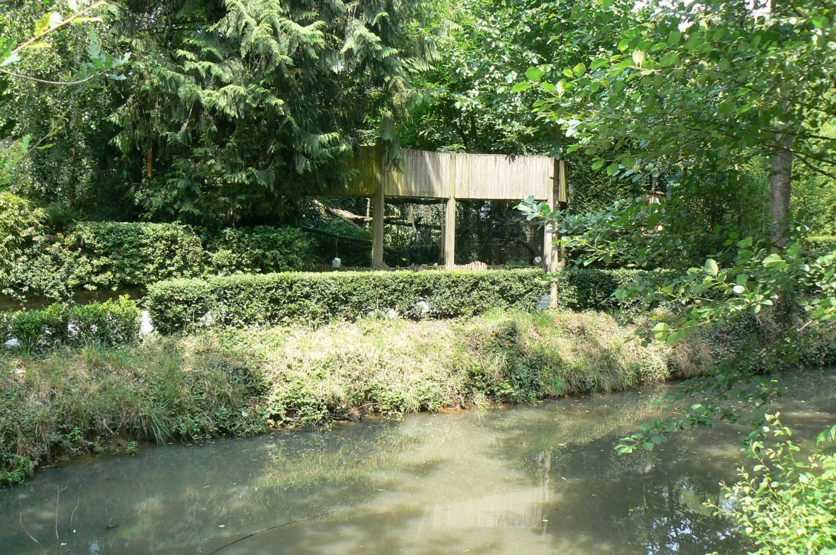 Clouded leopard exhibit