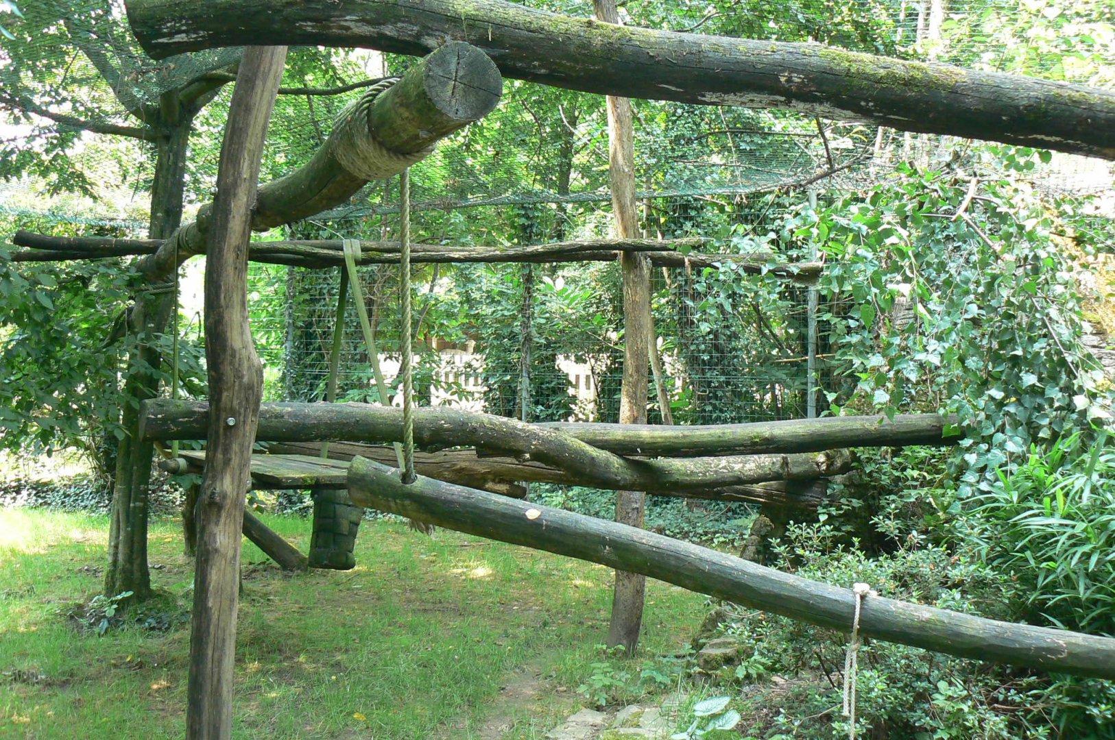 Clouded leopard exhibit