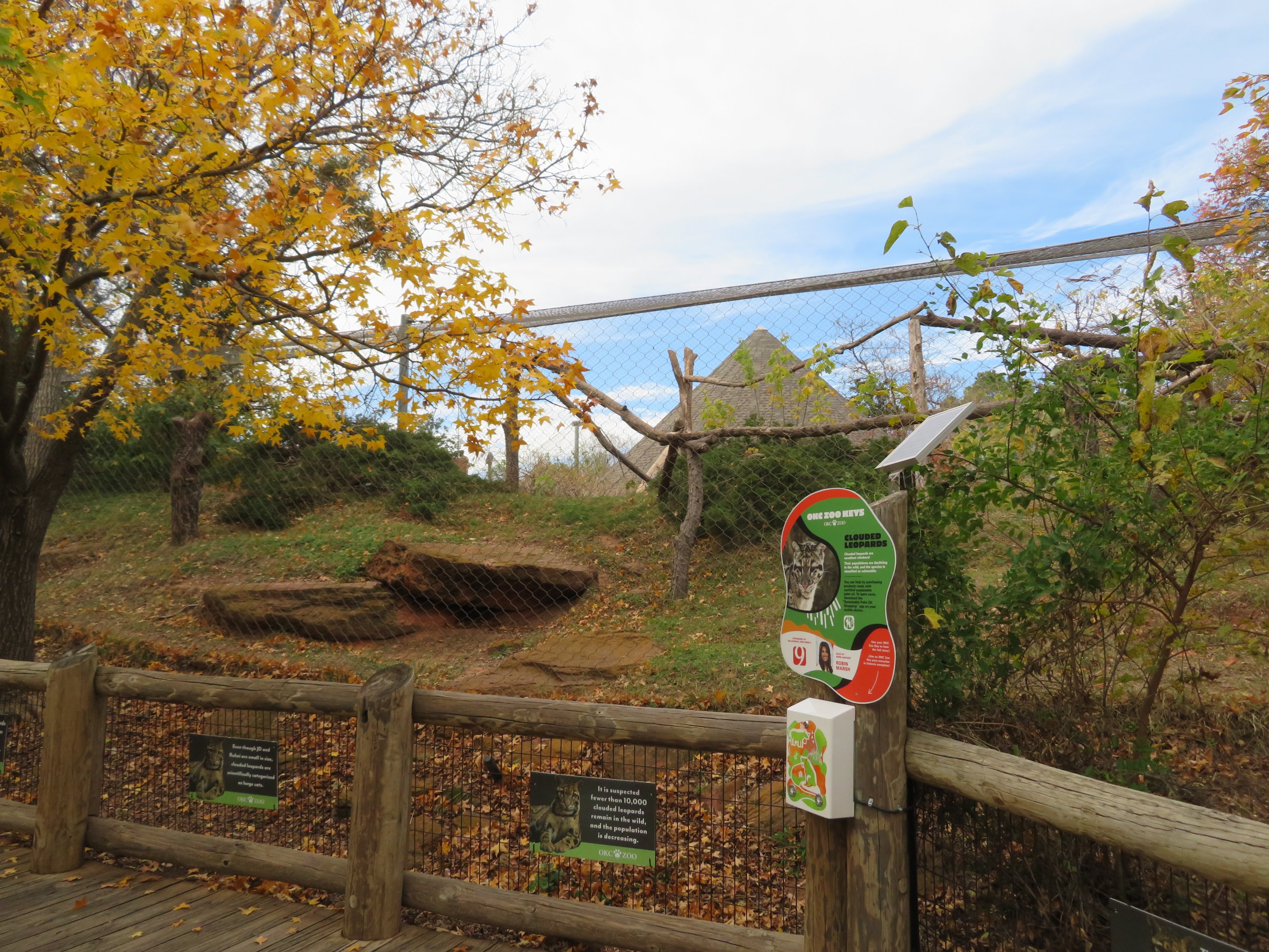 Clouded Leopard Exhibit