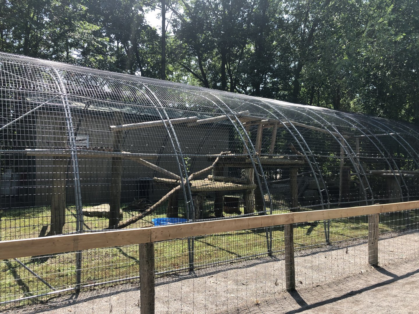 Clouded Leopard Exhibit