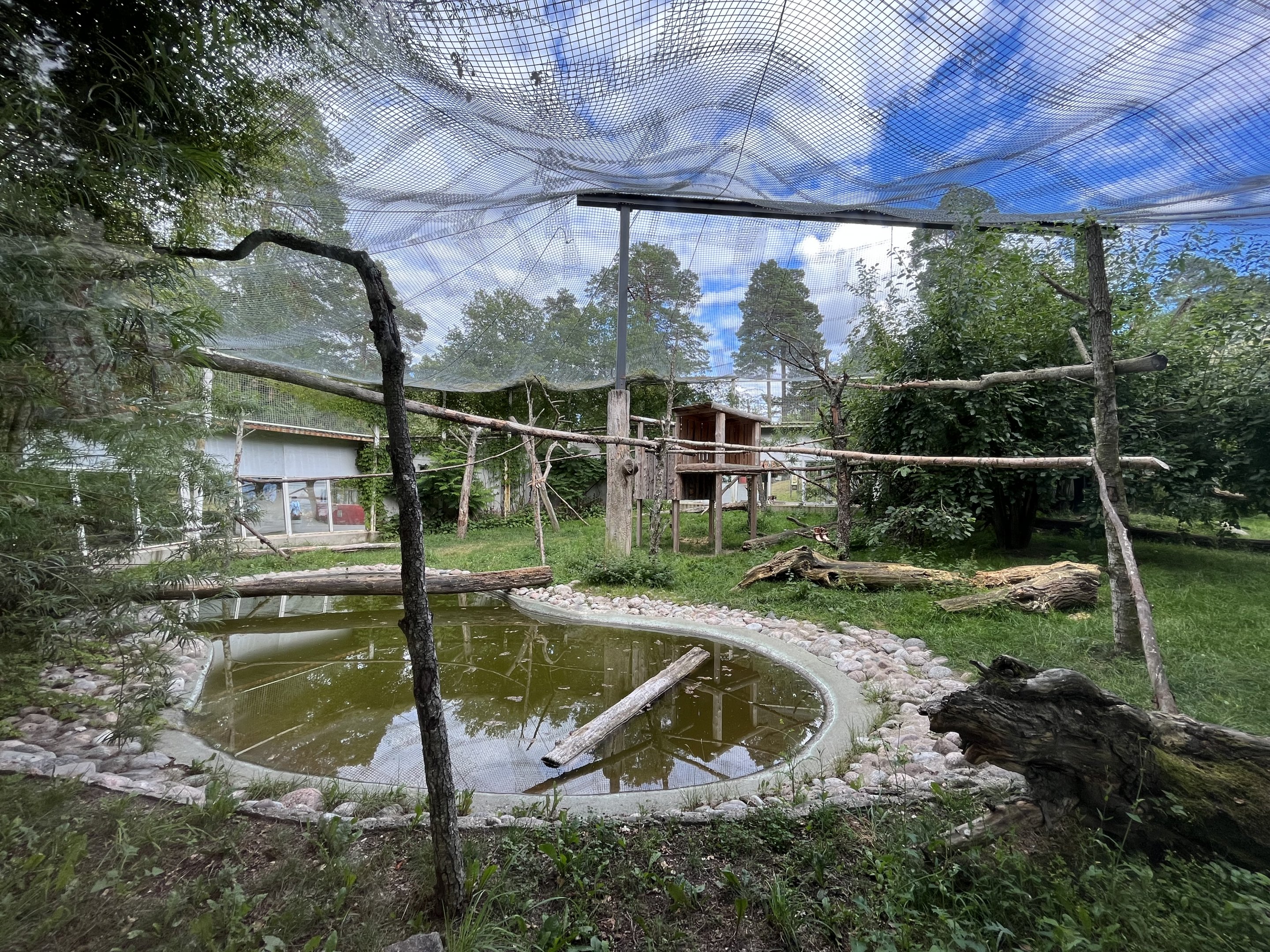 Clouded Leopard Exhibit