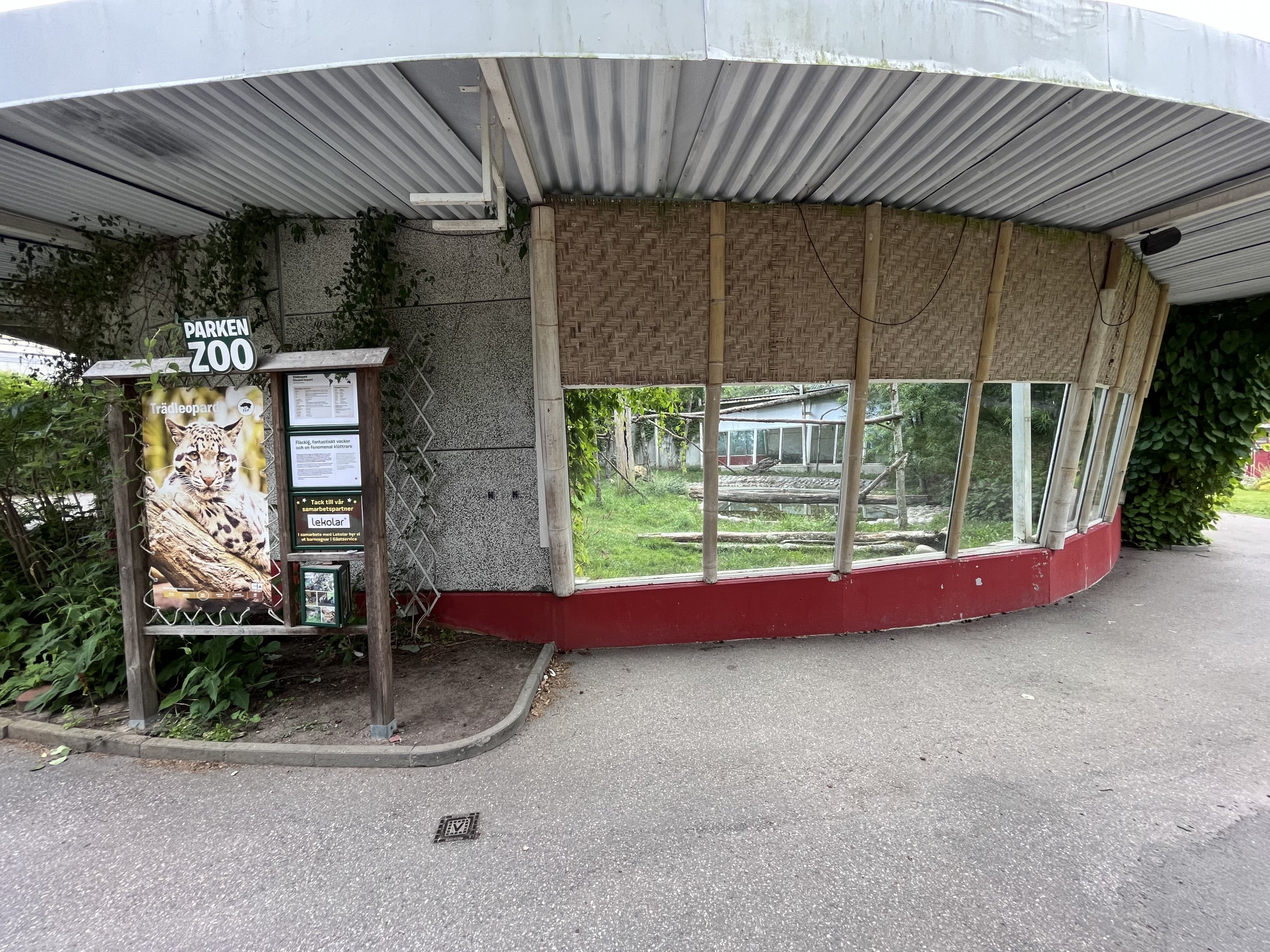 Clouded Leopard Exhibit