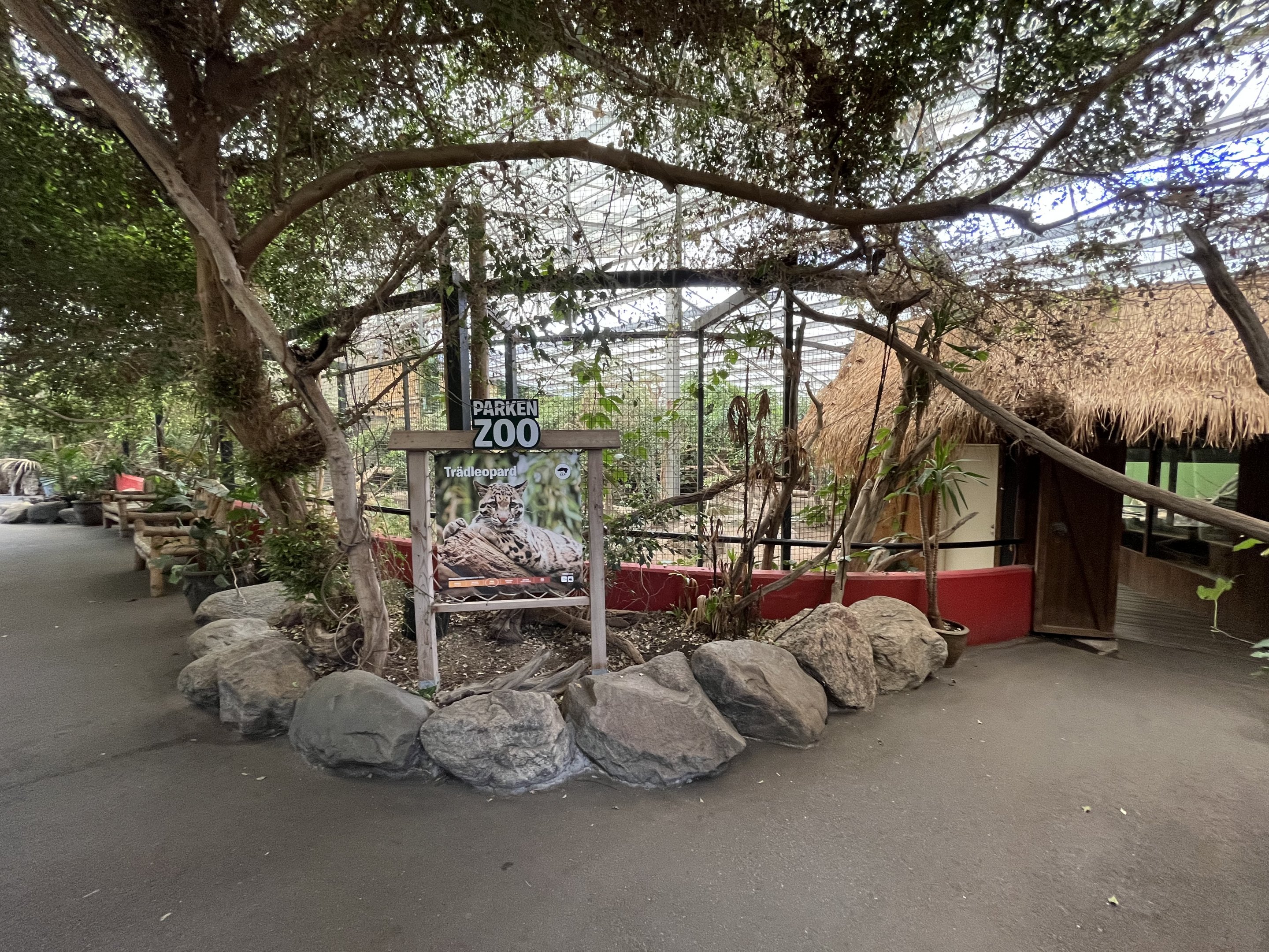 Clouded Leopard Exhibit