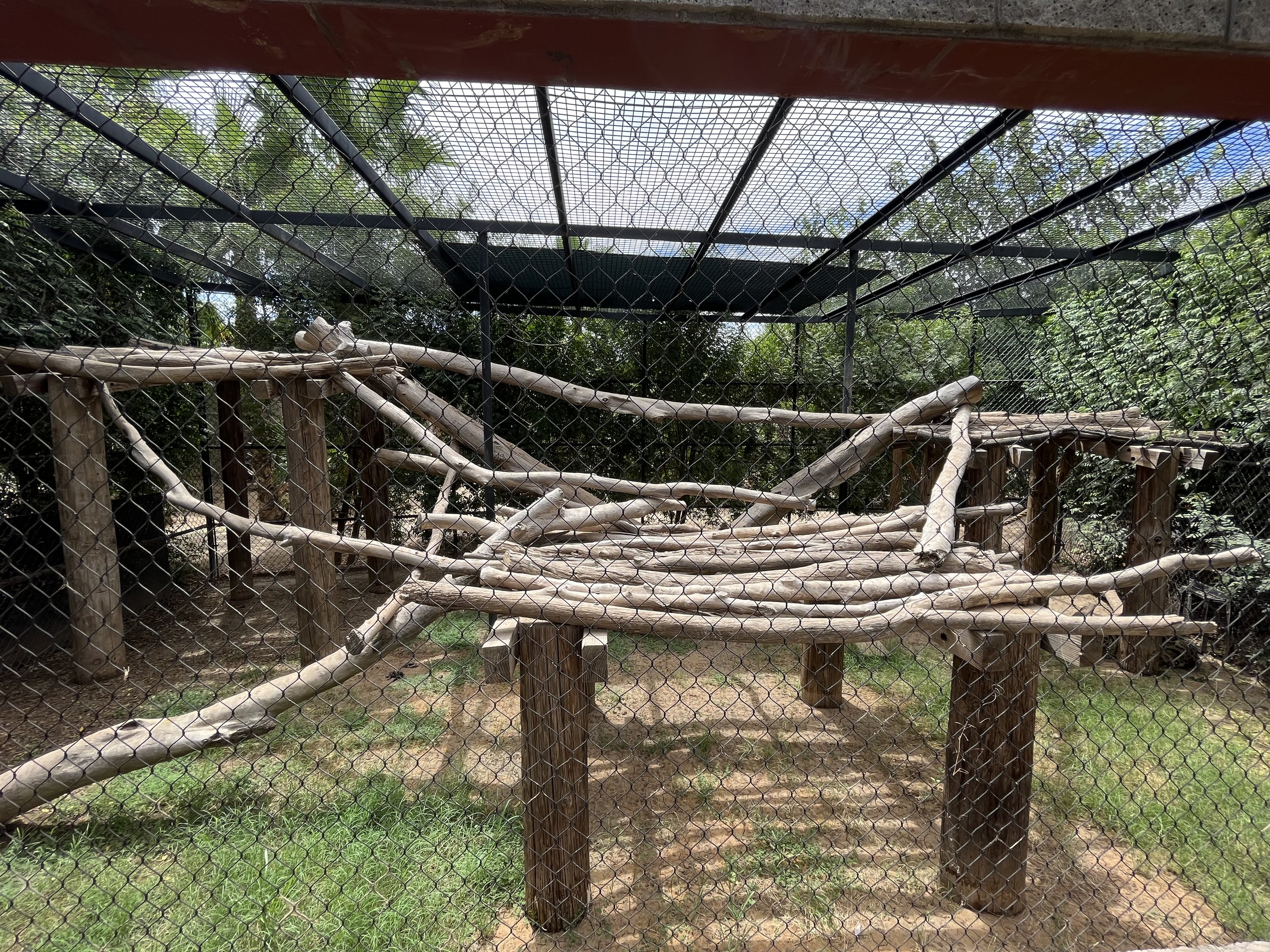 Clouded Leopard Exhibit
