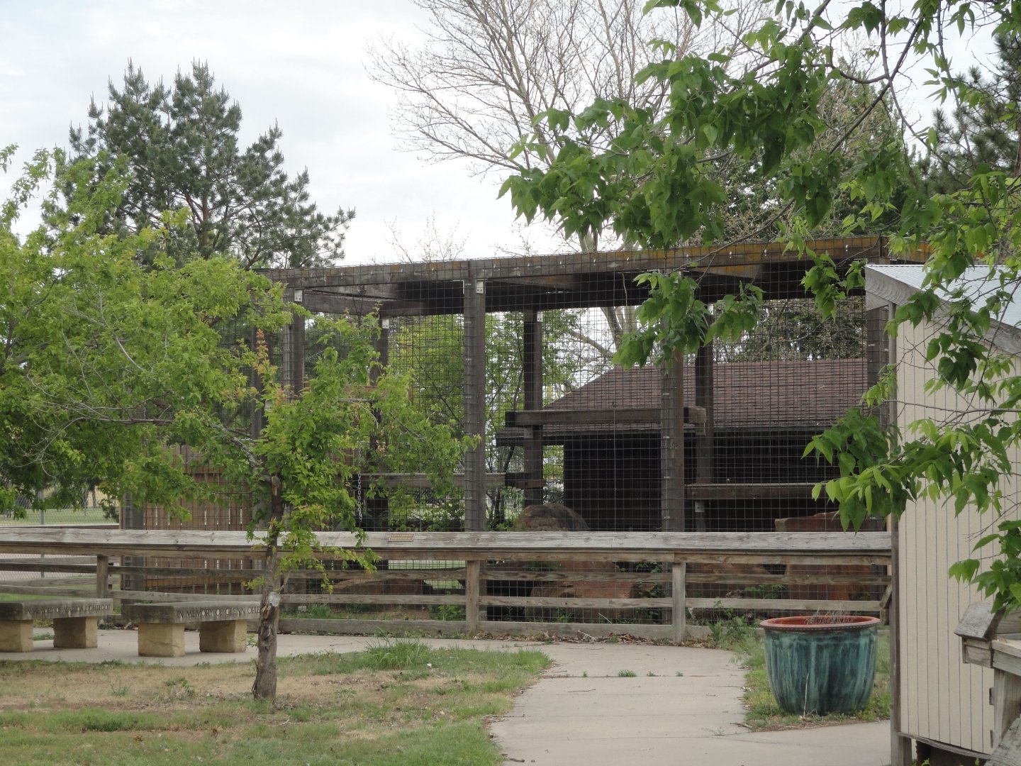 Clouded Leopard Exhibit