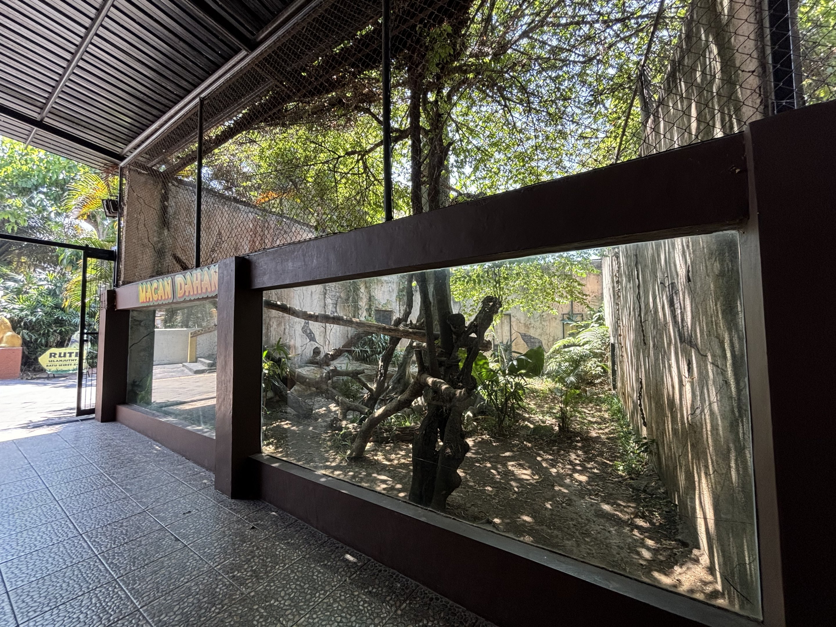 Clouded Leopard Exhibit